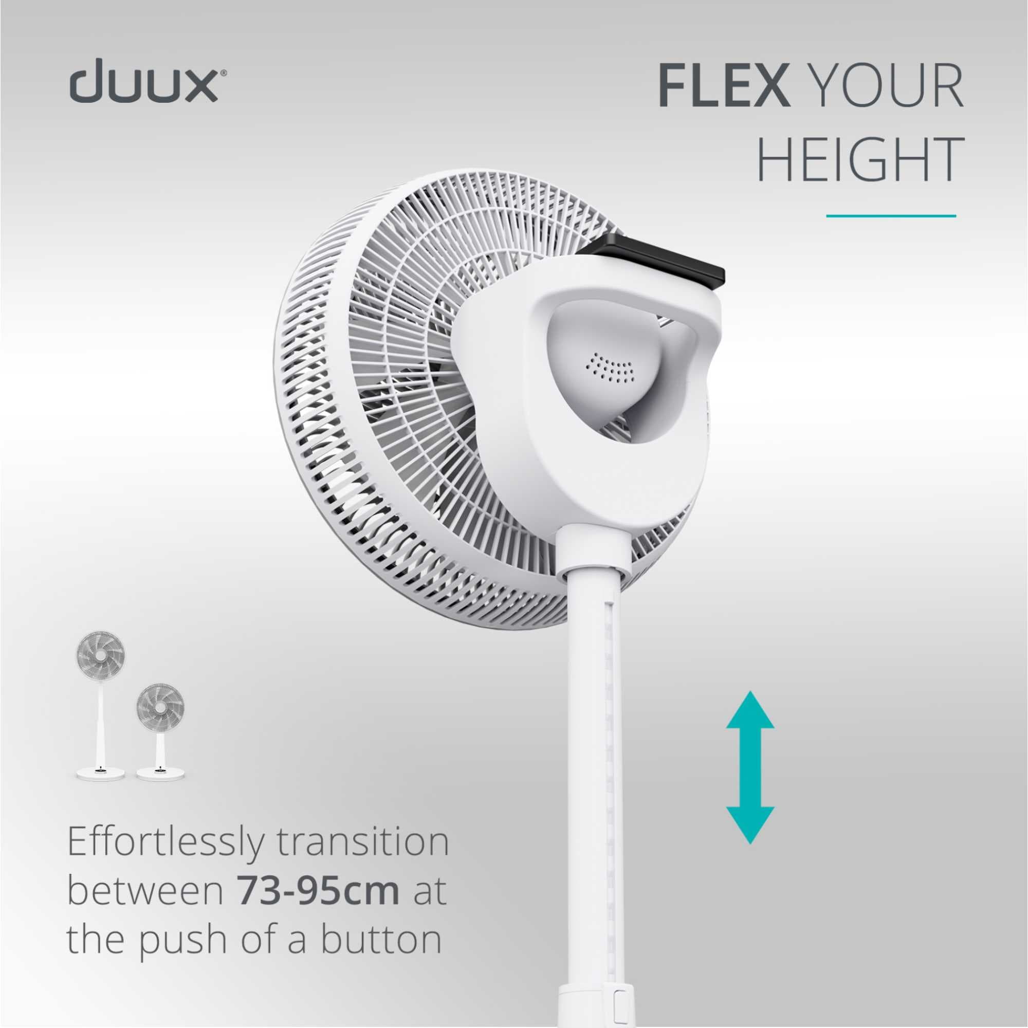 DXCF221UK