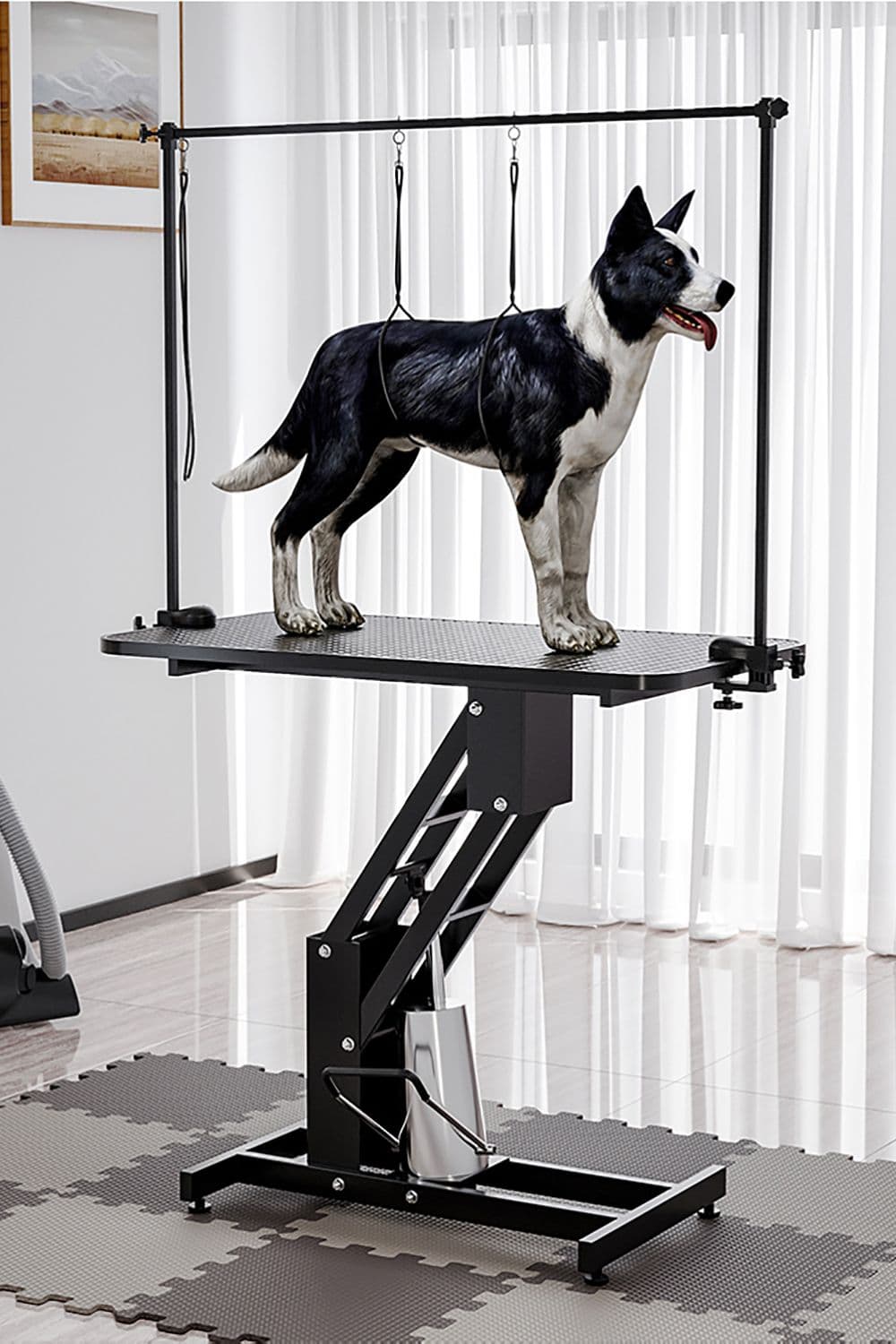 Adjustable Hydraulic Pet Grooming Trimming Table