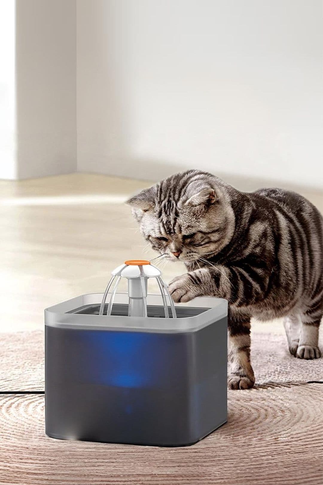 2L Pet Water Fountain with LED Lights