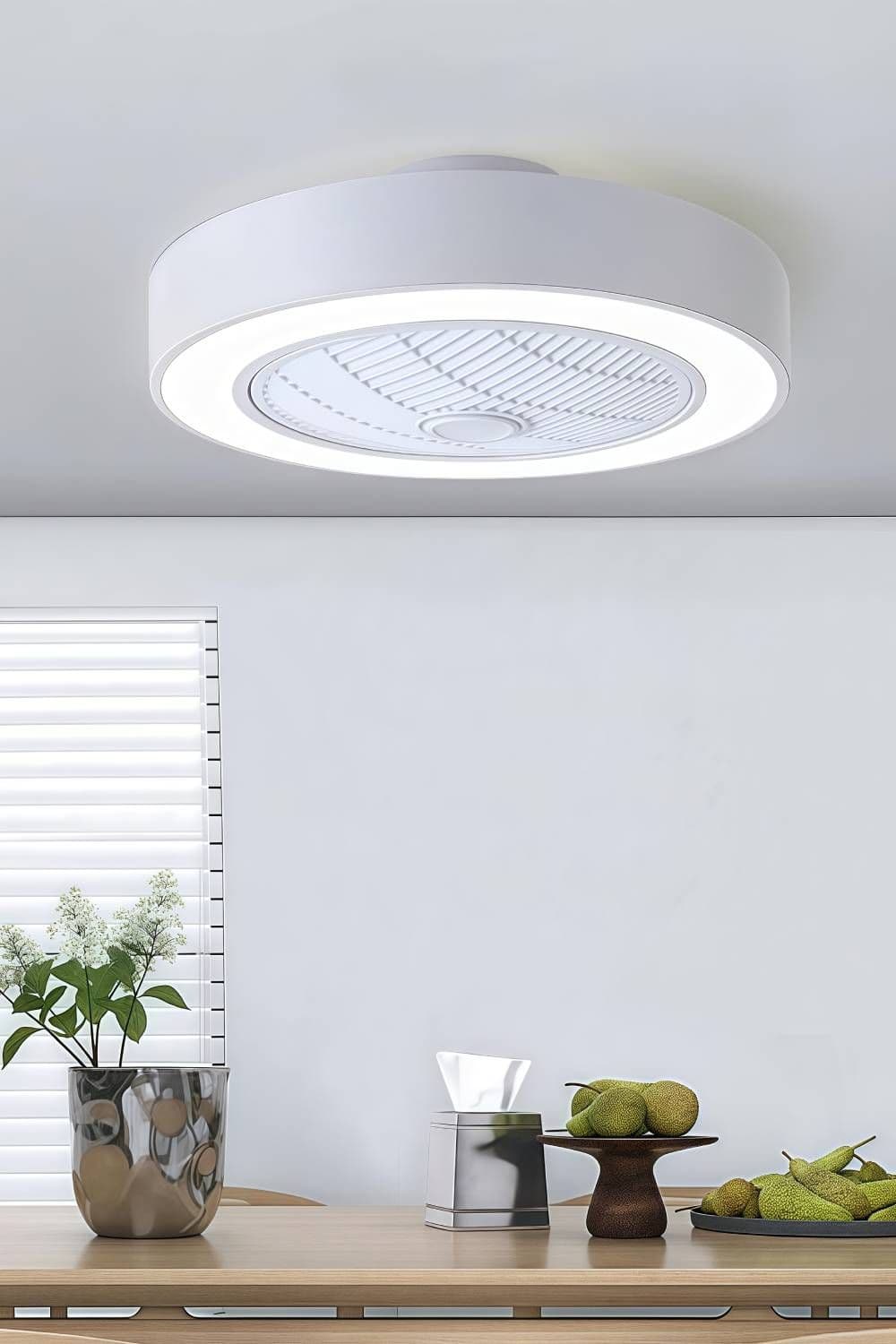 Round Acrylic LED Fan Ceiling Light