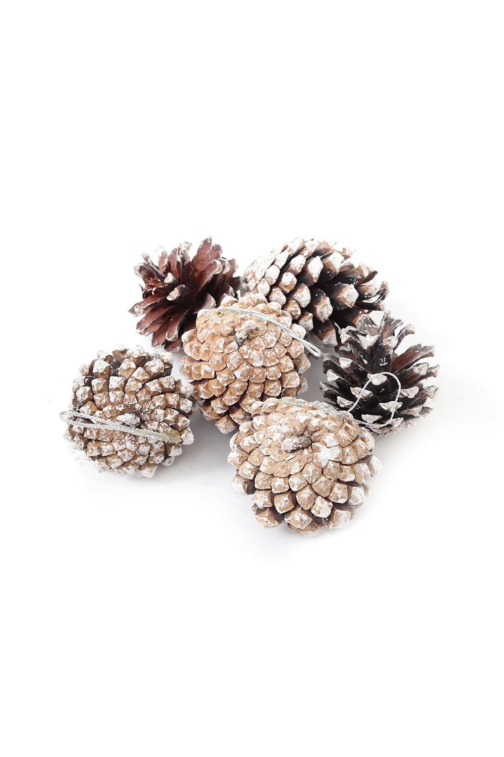 30Pcs Real Pine Cone Christmas Tree Hanging Ornament