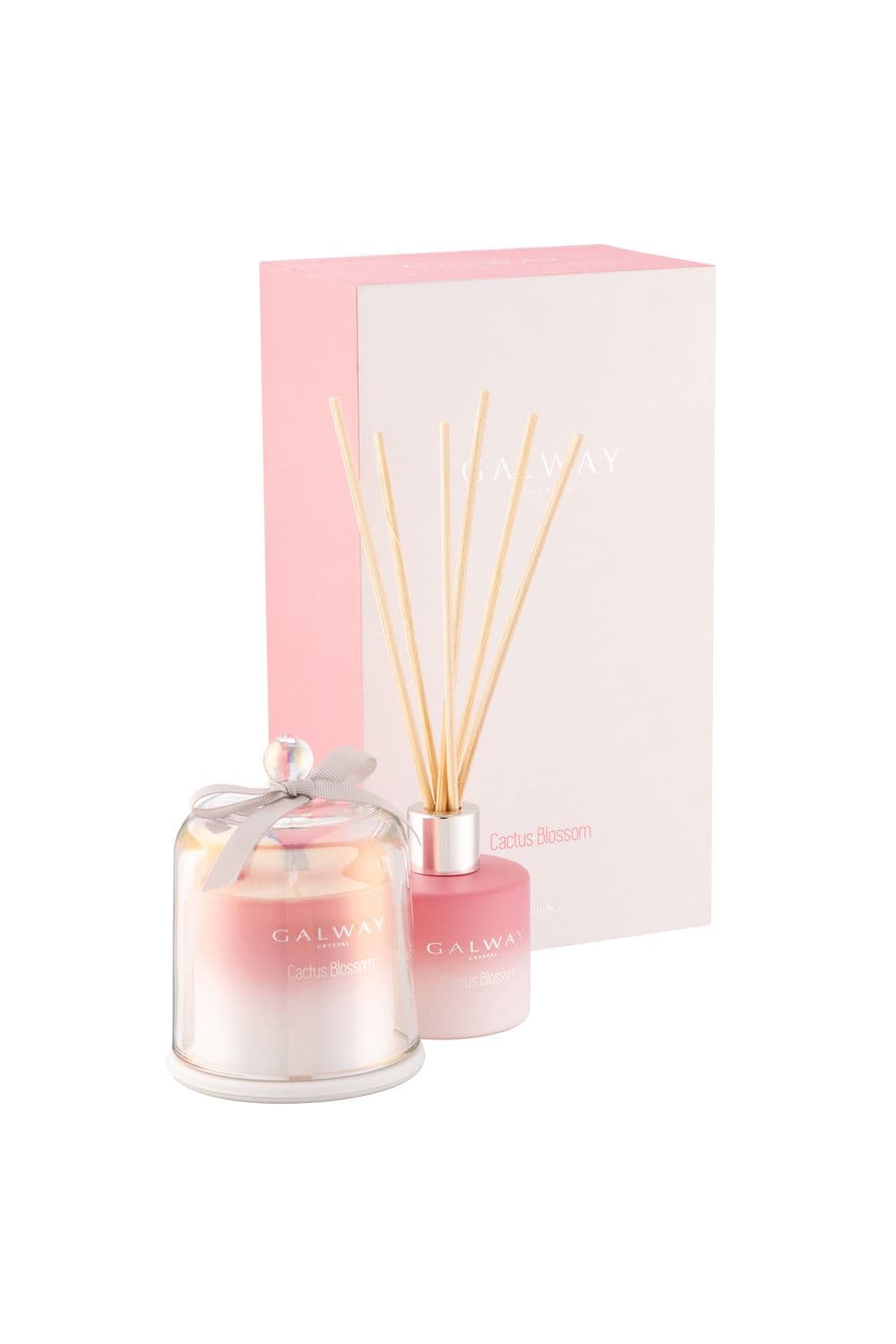 Cactus Blossom Gift Set