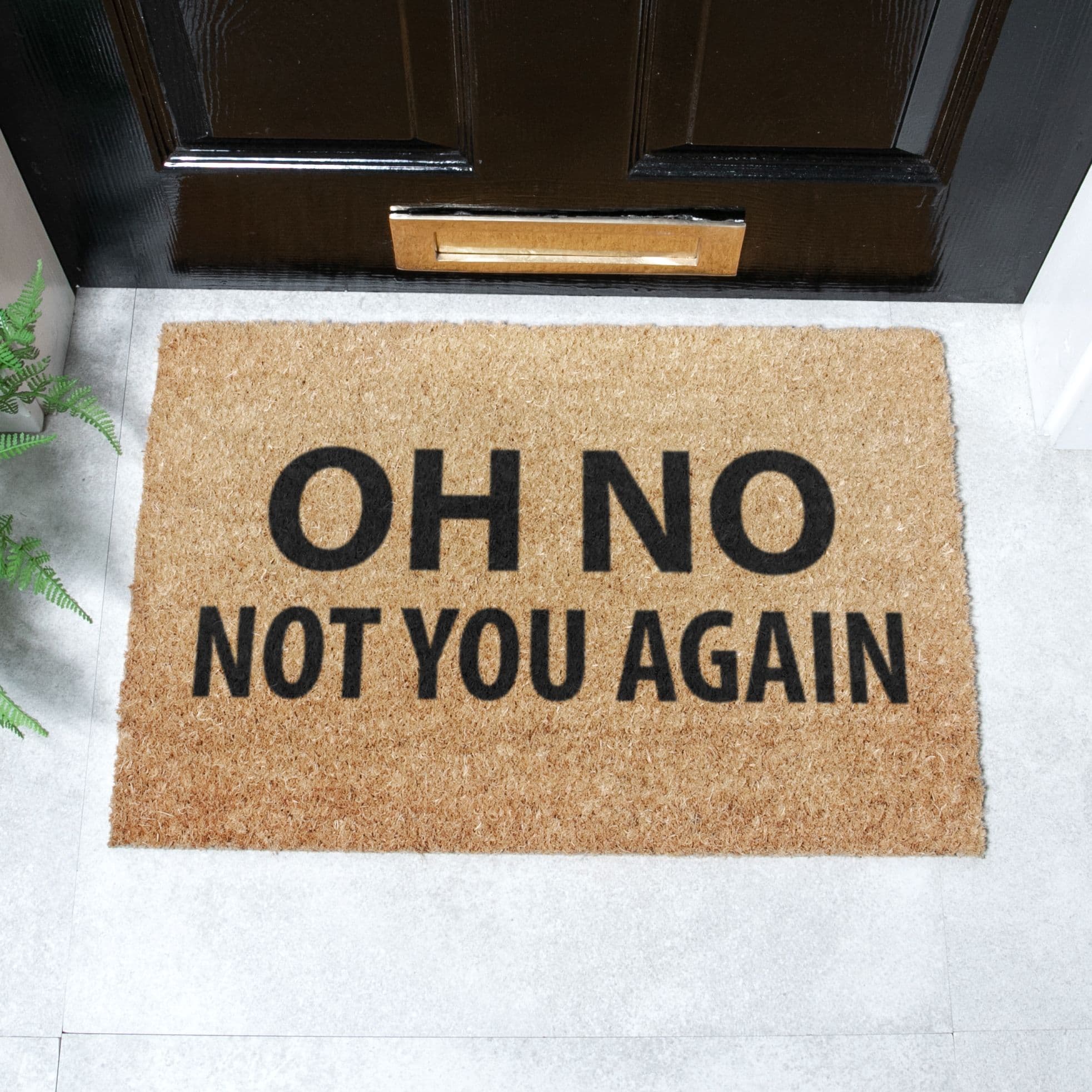 Not You Again Doormat Regular 60x40cm