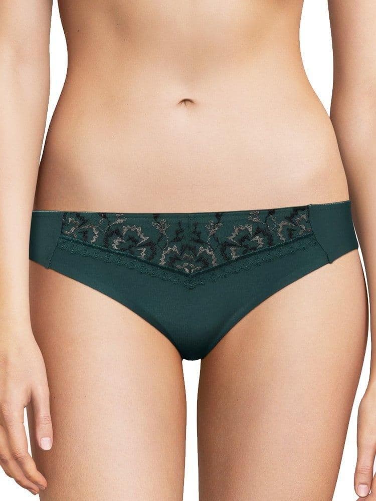 Every Curve Brief Cameo