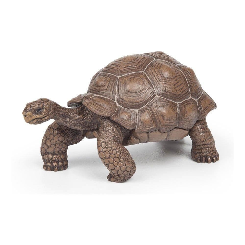 Wild Animal Kingdom Galapagos Tortoise Toy Figure Three Years or Above