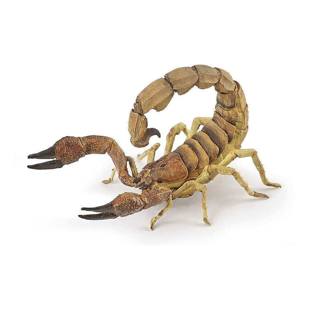 Wild Animal Kingdom Scorpion Toy Figure Three Years or Above