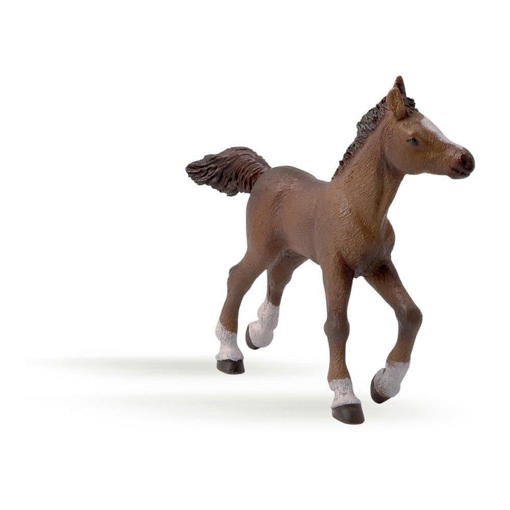 Horse Ponies Anglo Arab Foal Toy Figure Three Years or Above