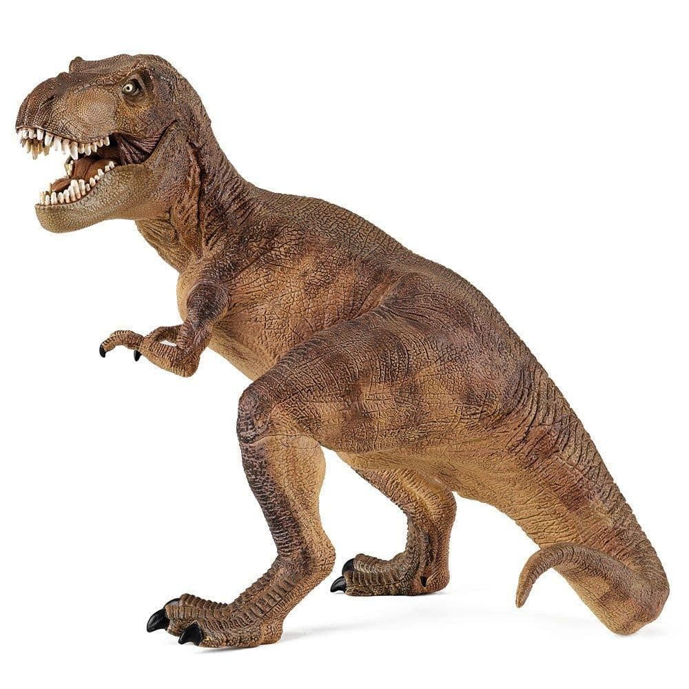 Dinosaurs T Rex Toy Figure Three Years or Above