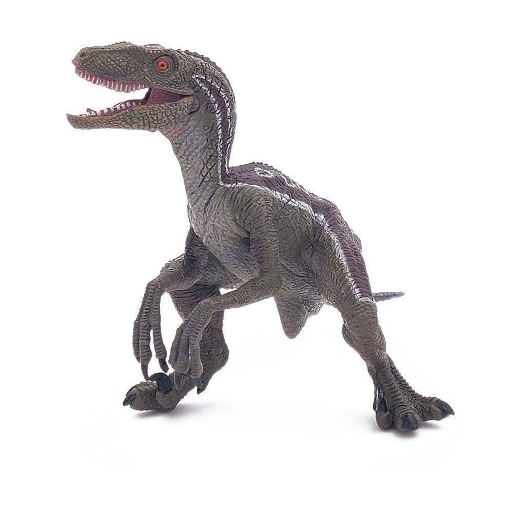 Dinosaurs Velociraptor Toy Figure Three Years or Above