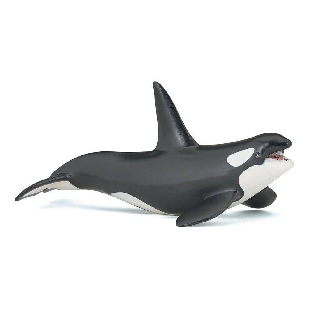 Marine Life Killer Whale Toy Figure Three Years or Above Black White