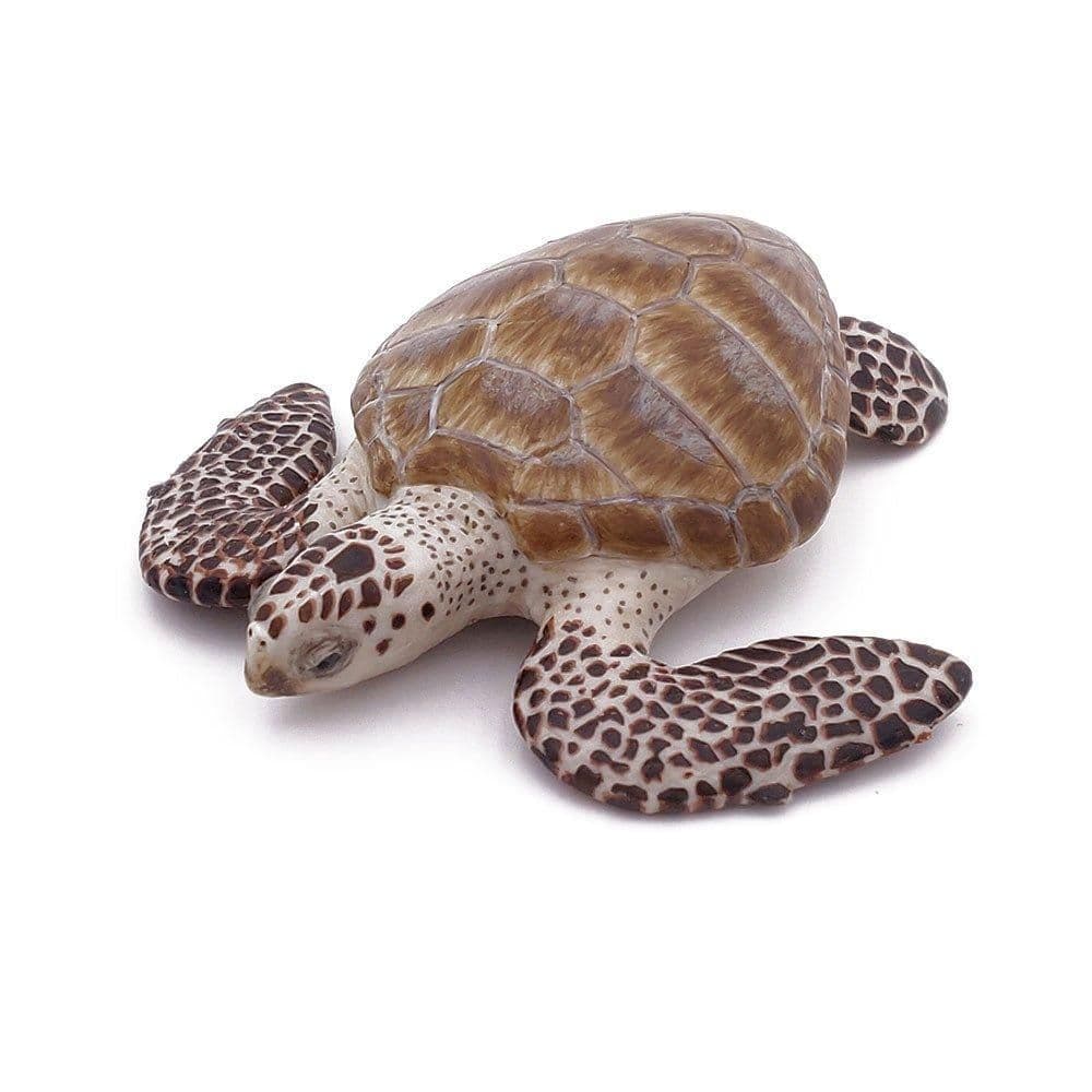 Marine Life Loggerhead Turtle Toy Figure Three Years or Above