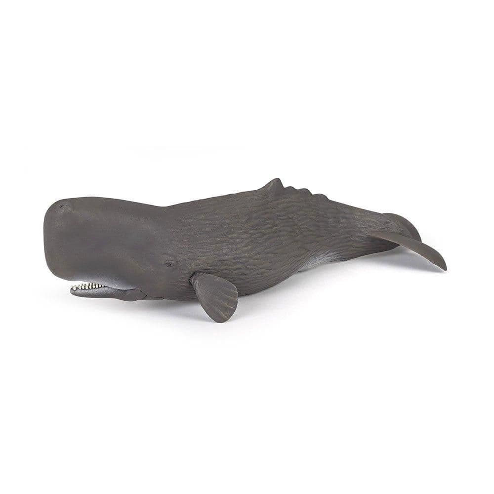 Marine Life Sperm Whale Toy Figure