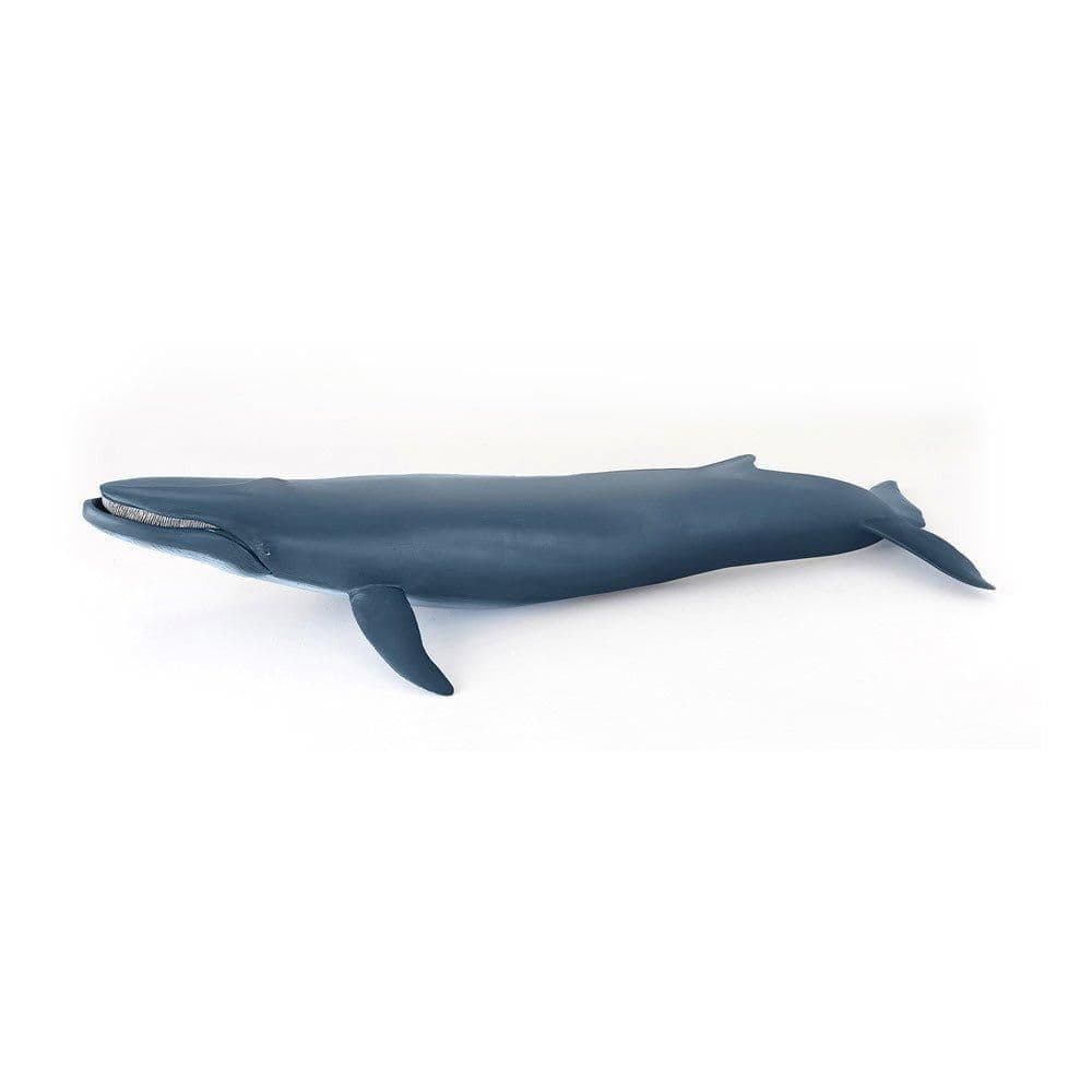 Marine Life Whale Toy Figure