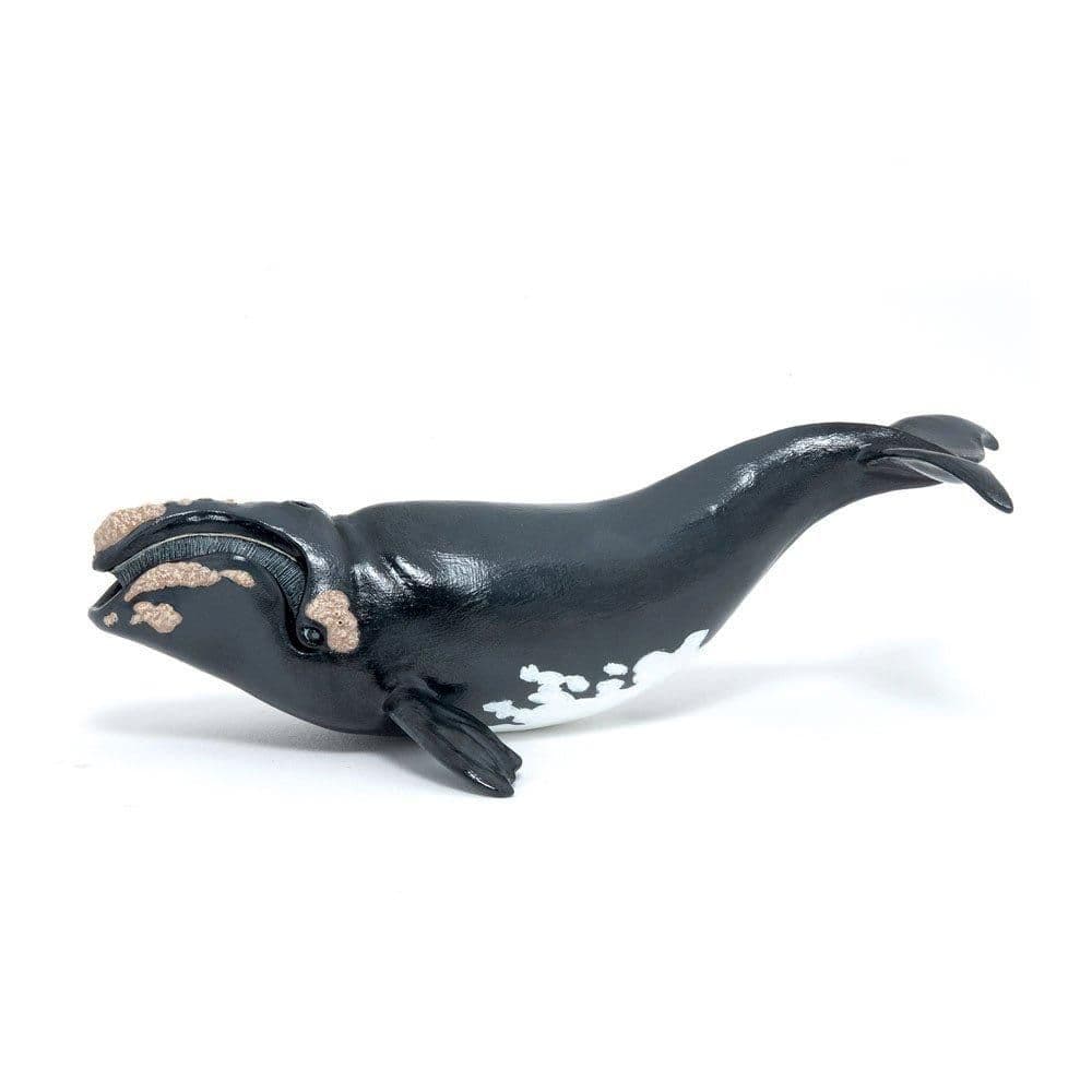 Marine Life Right Whale Toy Figure