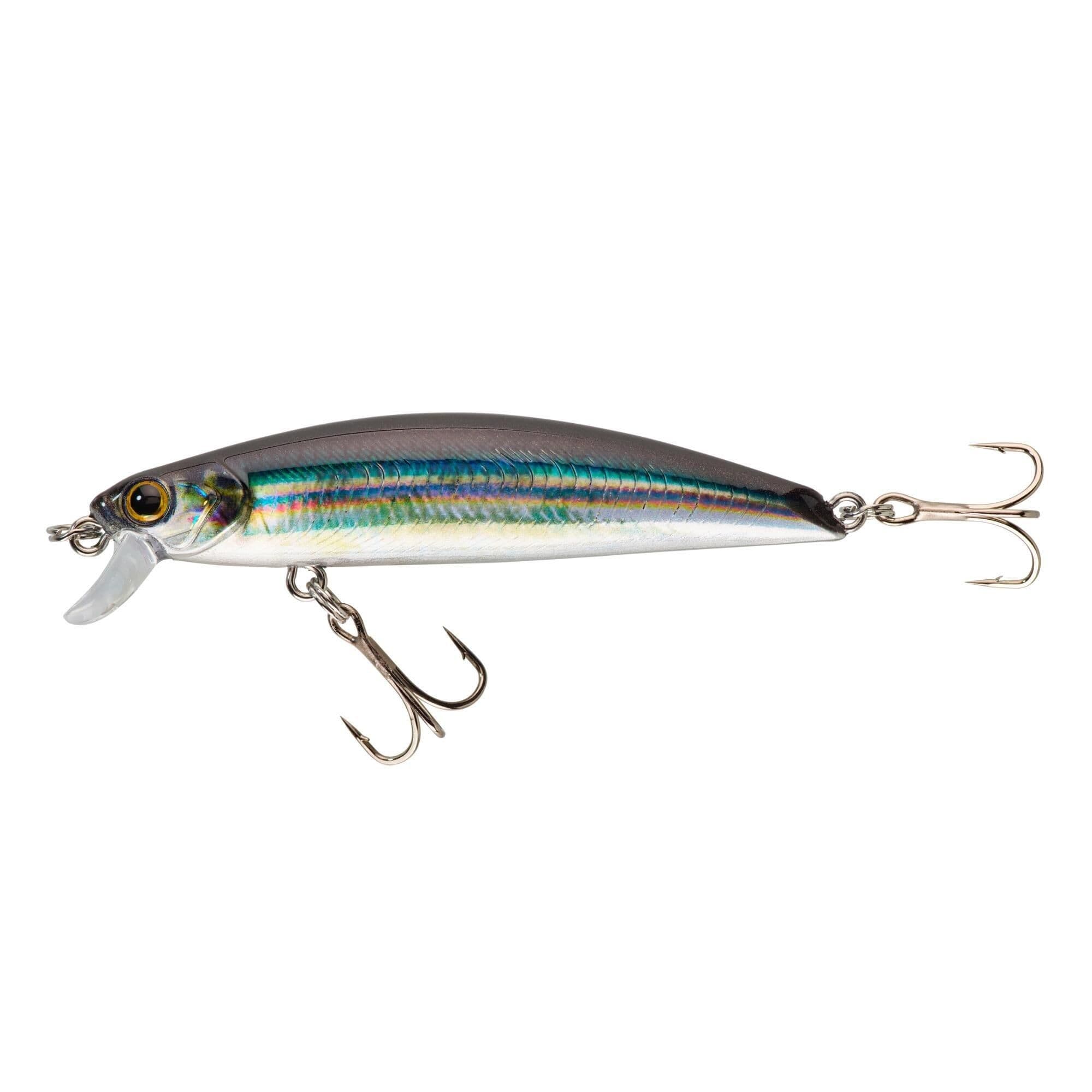 Lure Fishing At Sea Hard Lure Saxton 75 Us Anchovy