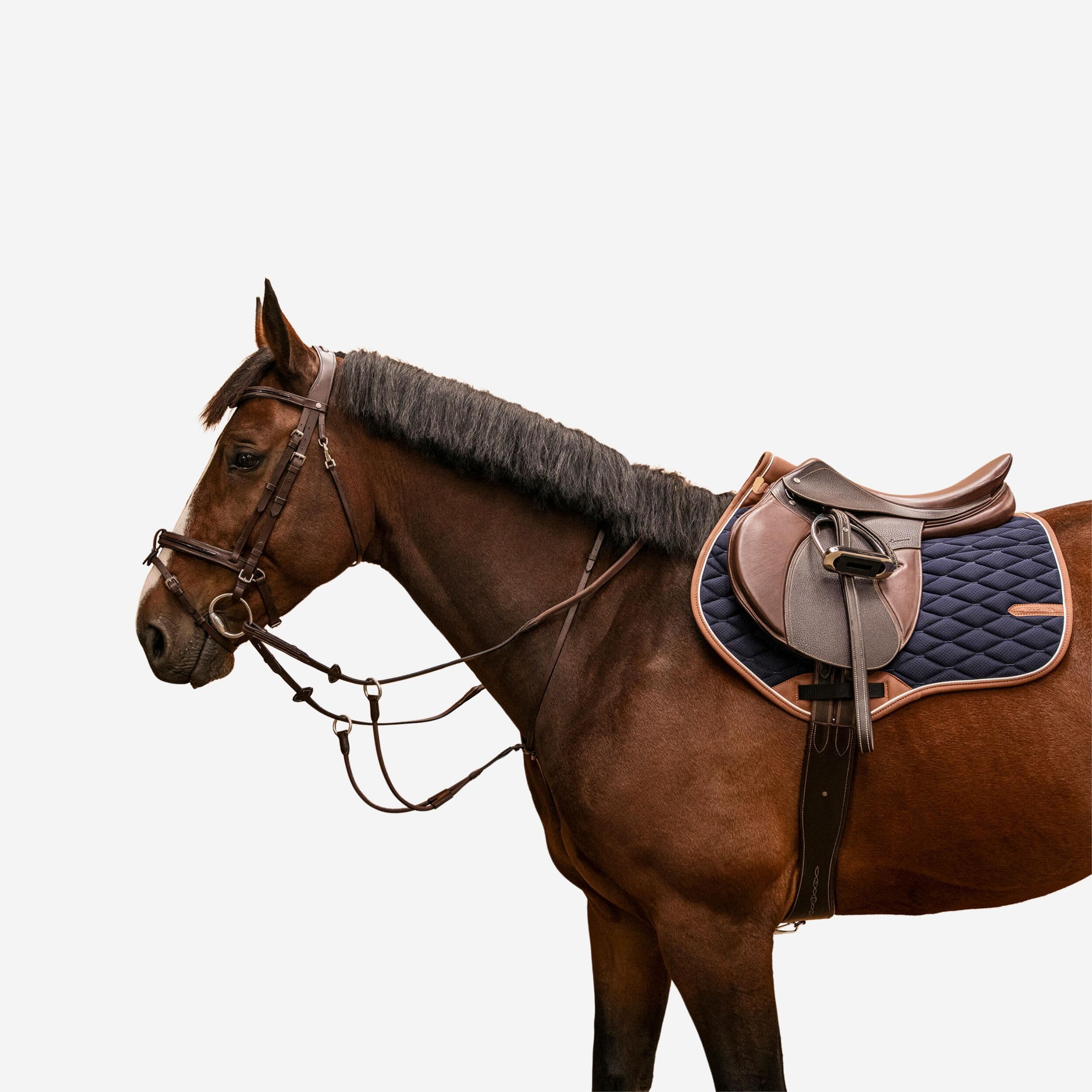 Elasticated Martingale Horse & Pony