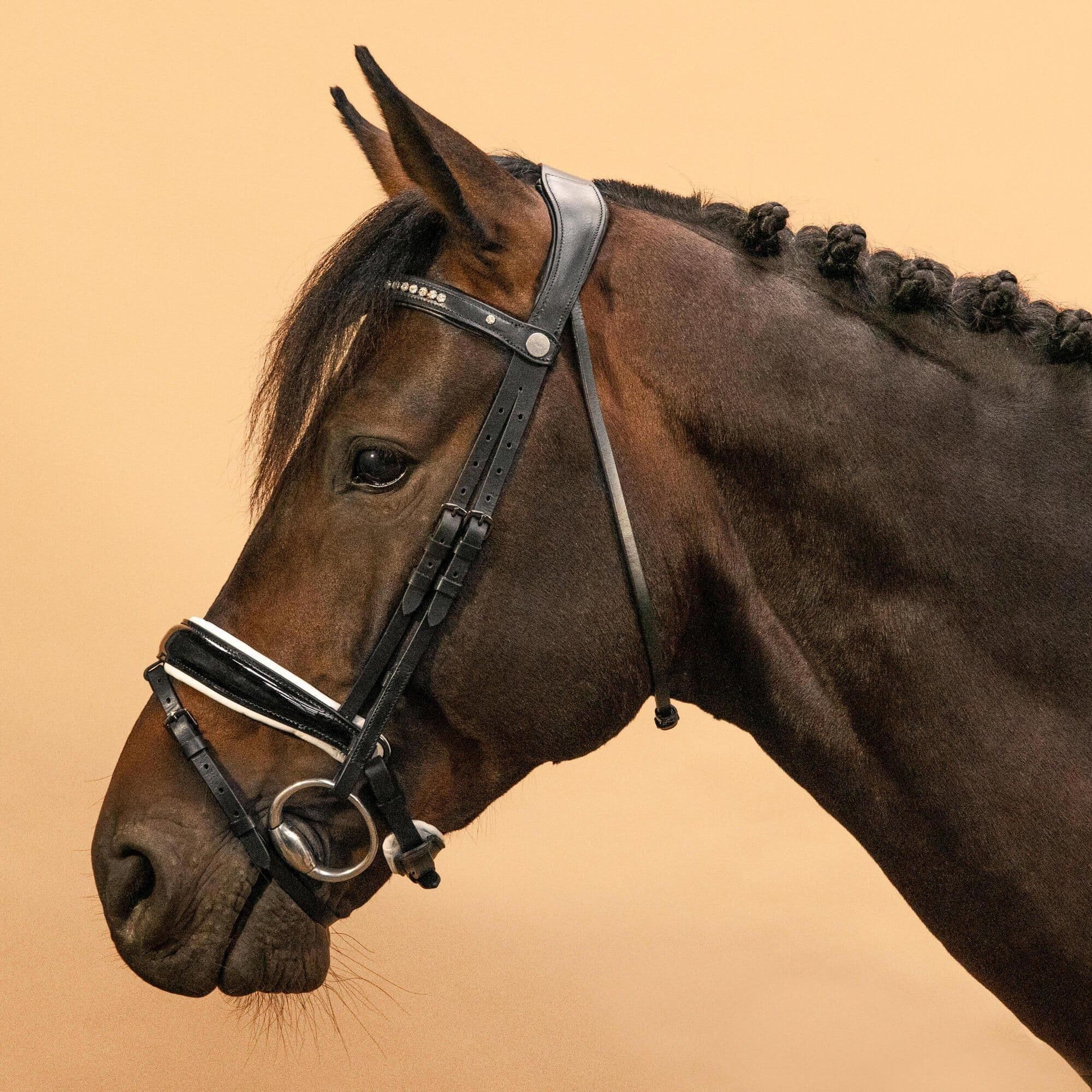 Horse & Pony Dressage Bridle 900