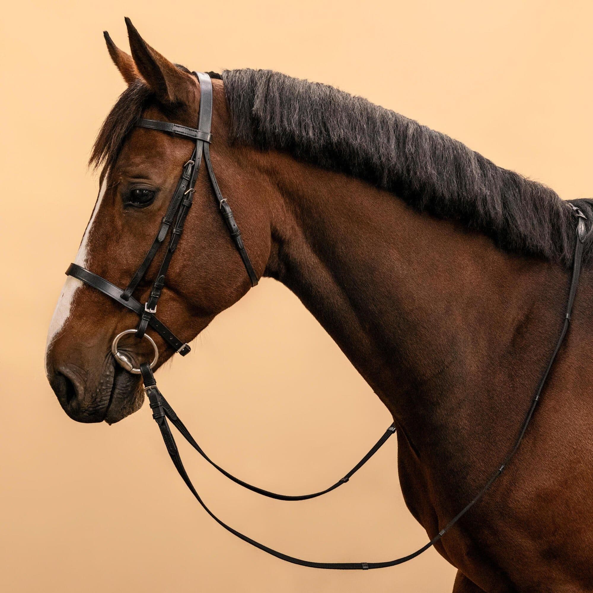 Horse Riding Leather Bridle French Noseband & Reins Horse & Pony 100
