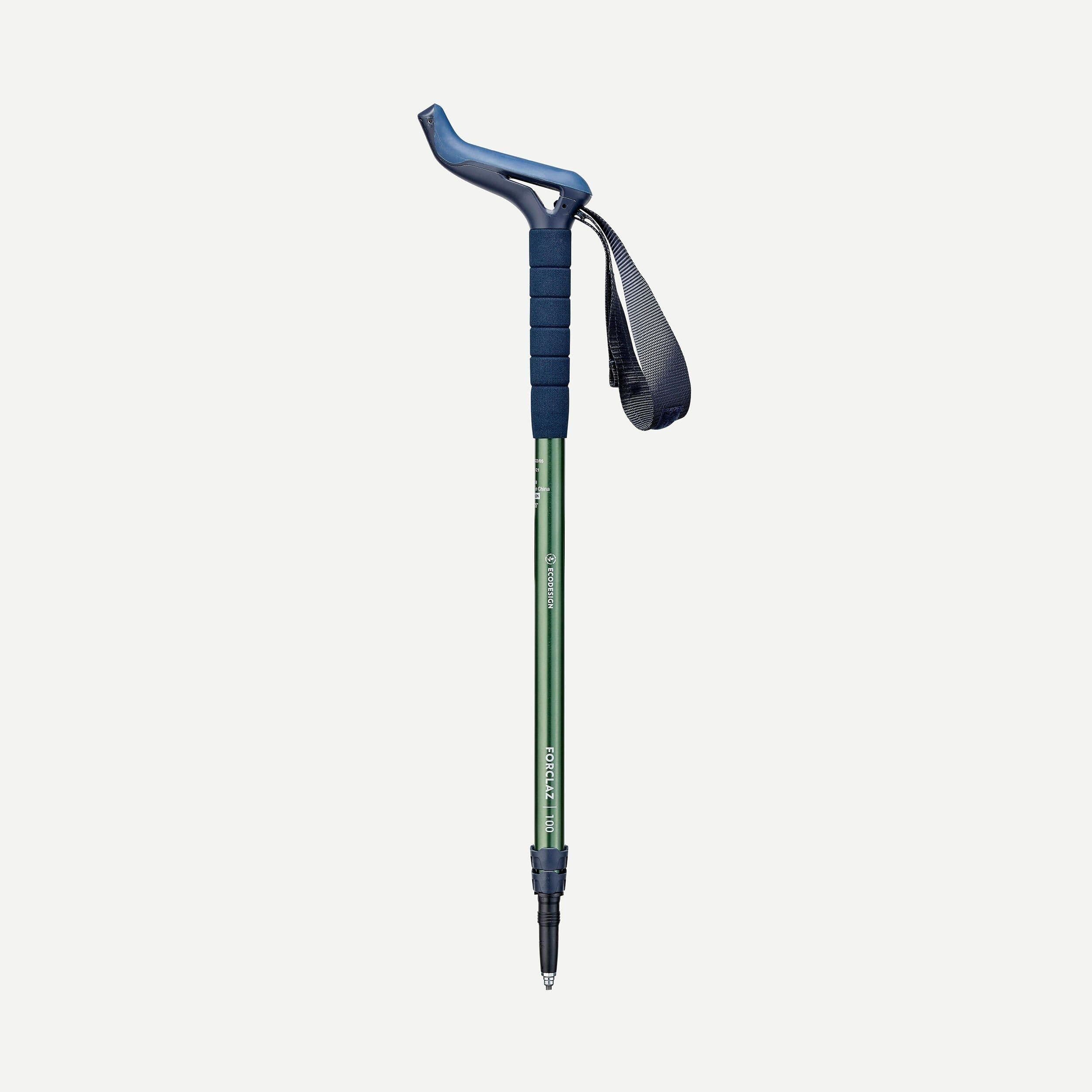 1 Hiking Pole