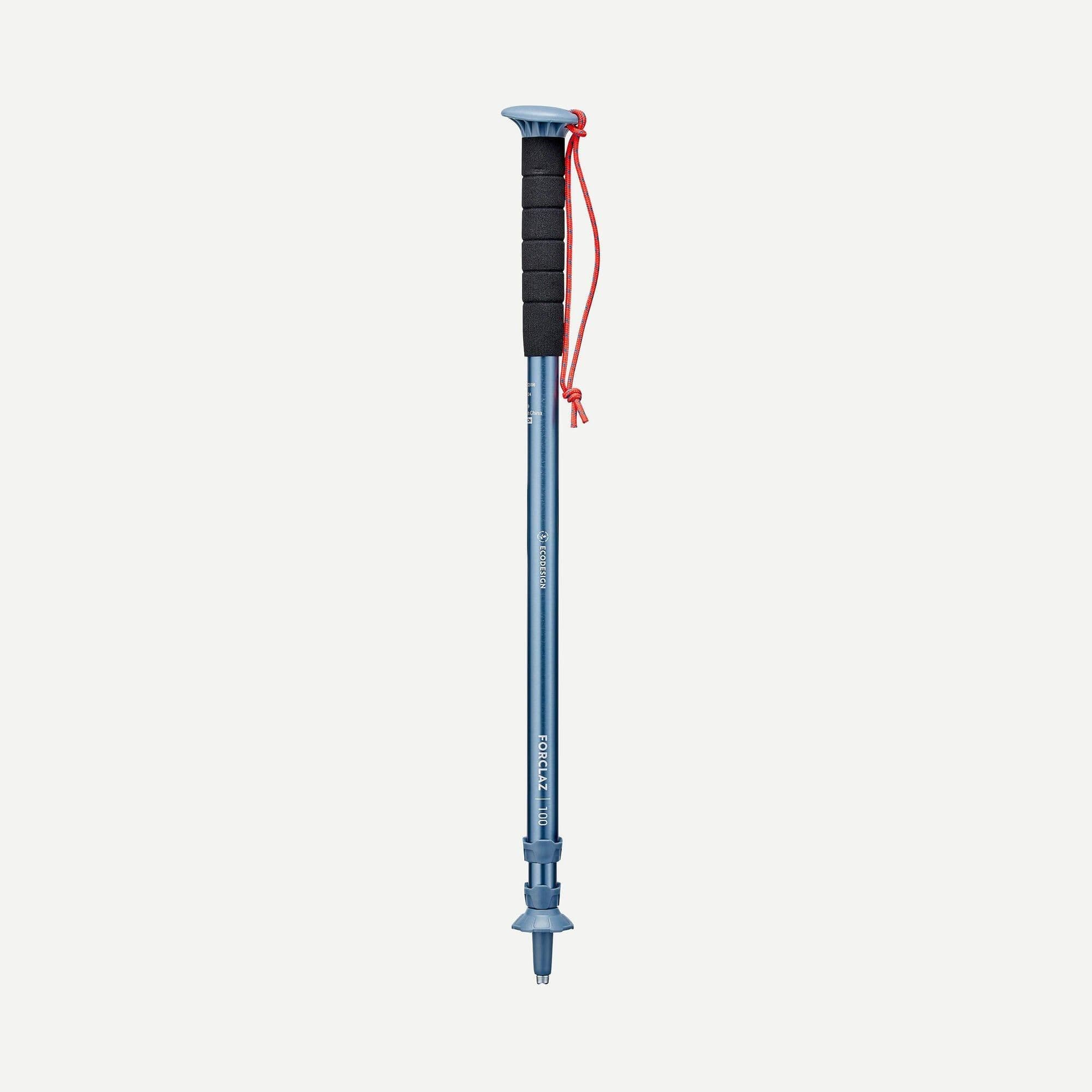 1 Affordable Hiking Pole Mt100