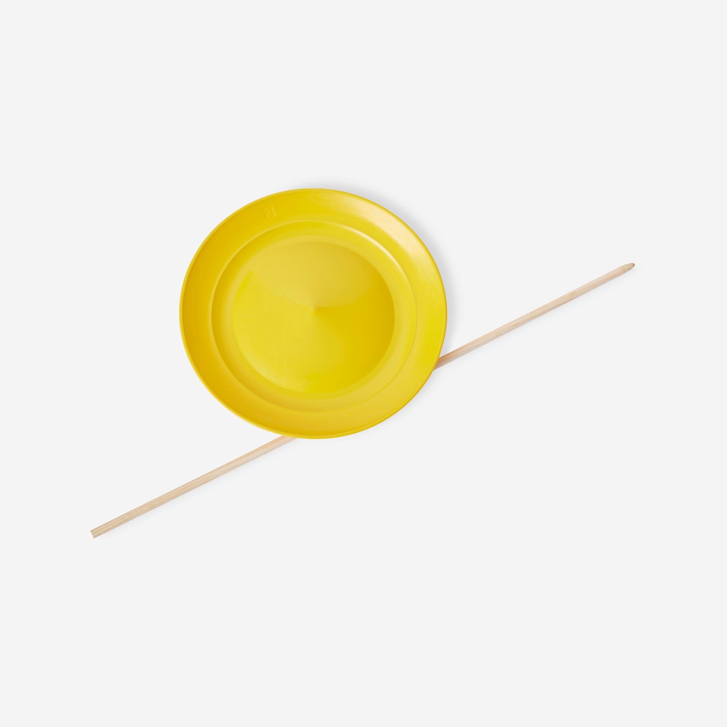 Spinning Plate + Wooden Stick