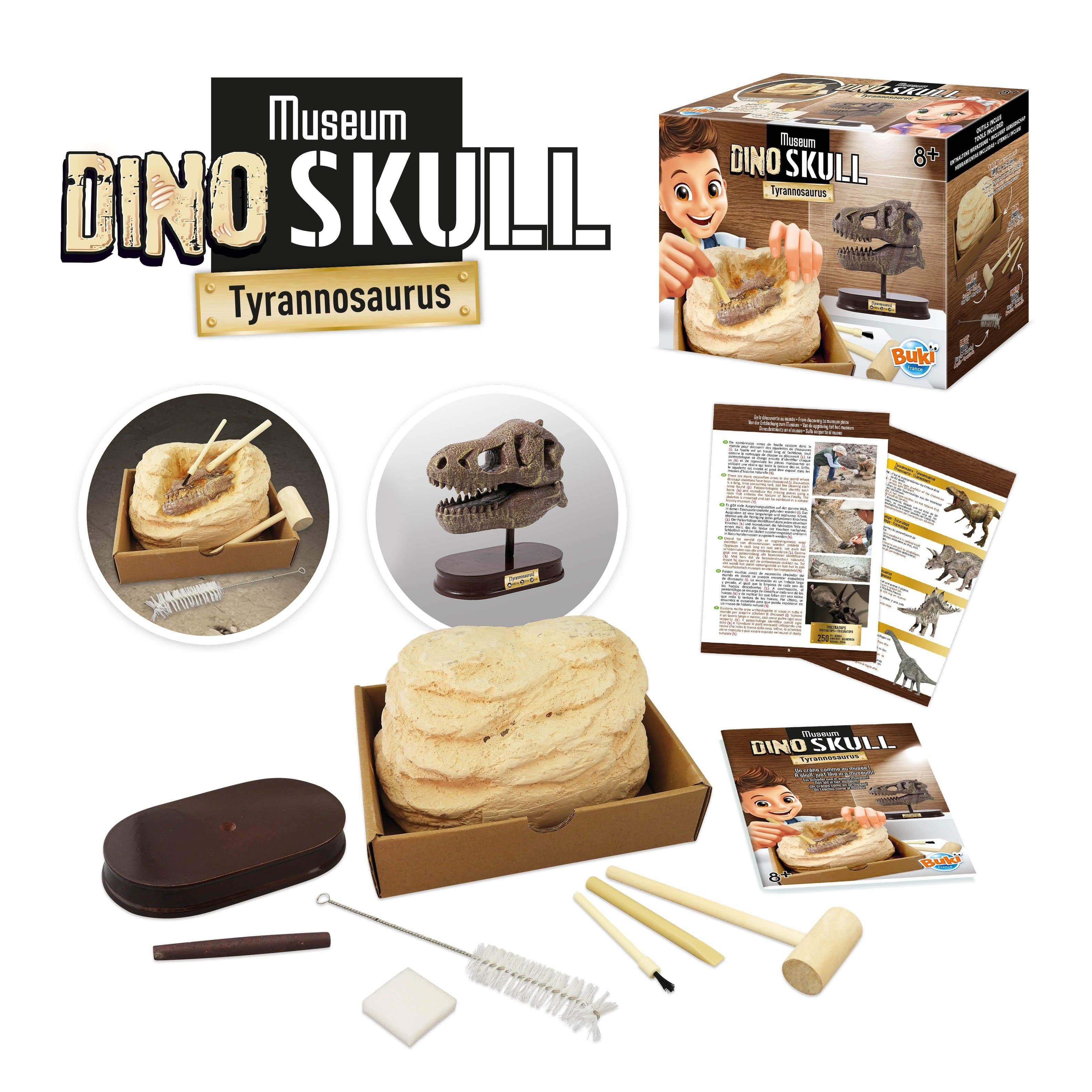 Dinosaur Skull - Tyrannosaurus