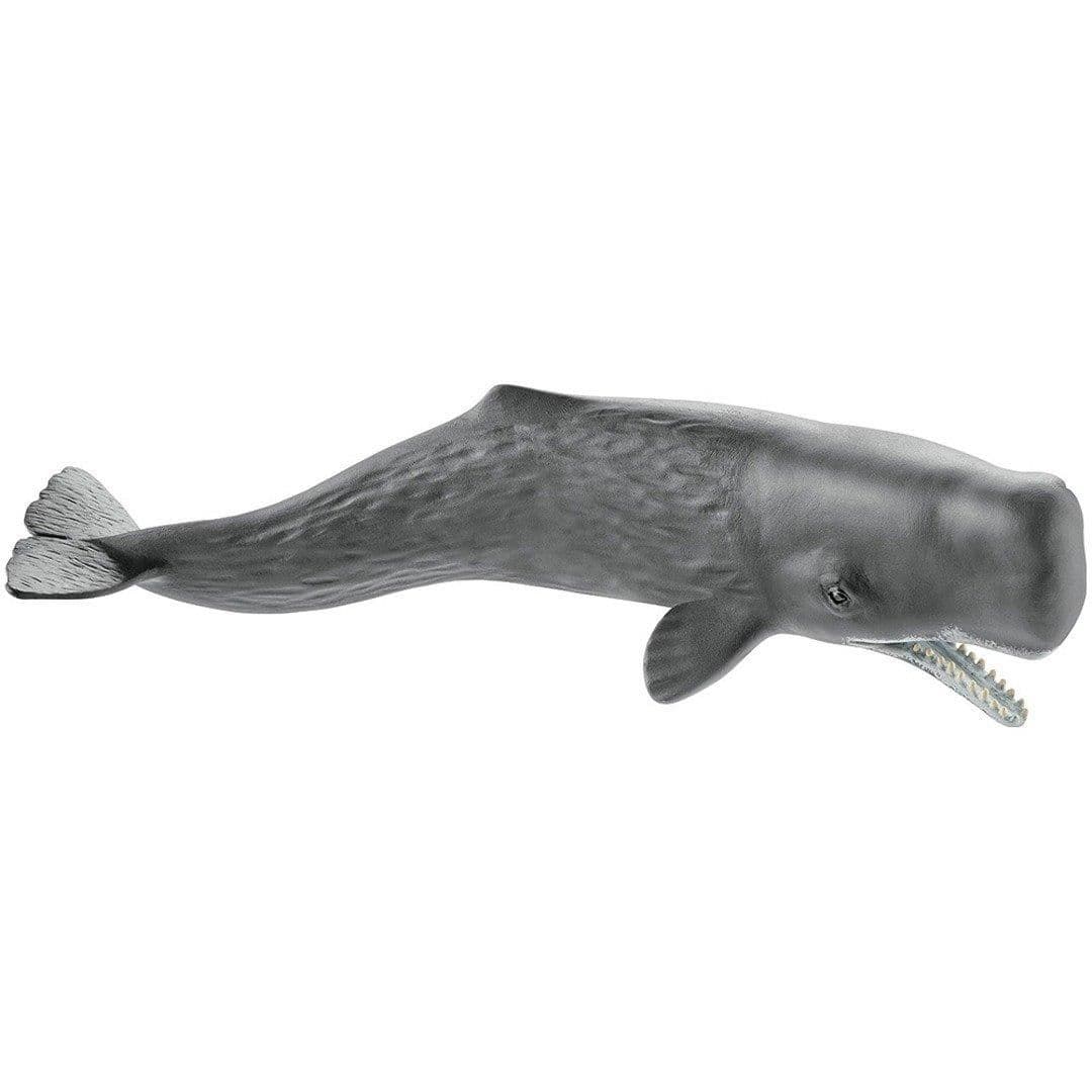 Sperm Whale