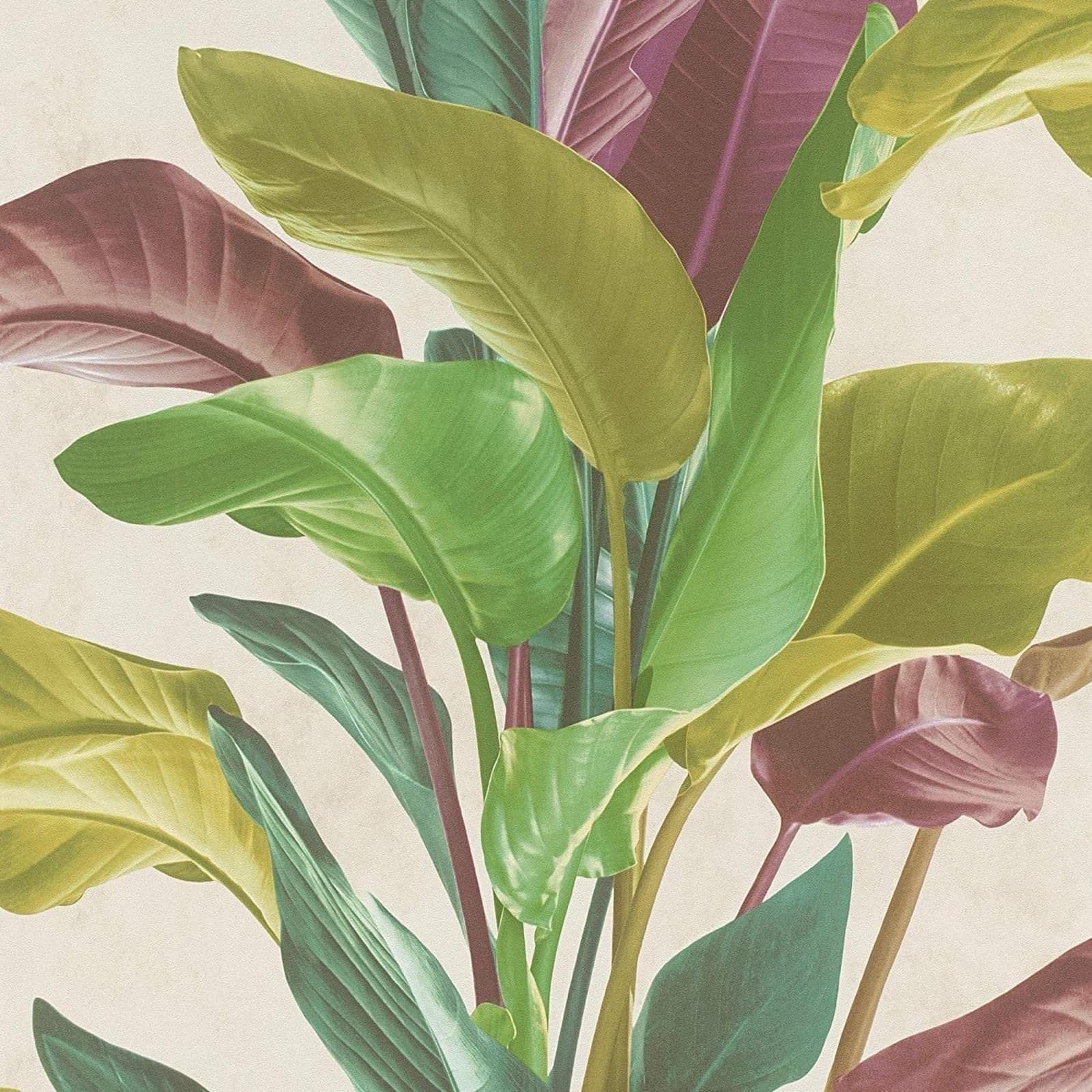 Botanical Garden Plant Leaf Leaves Trail Vinyl Multicolour Wallpaper