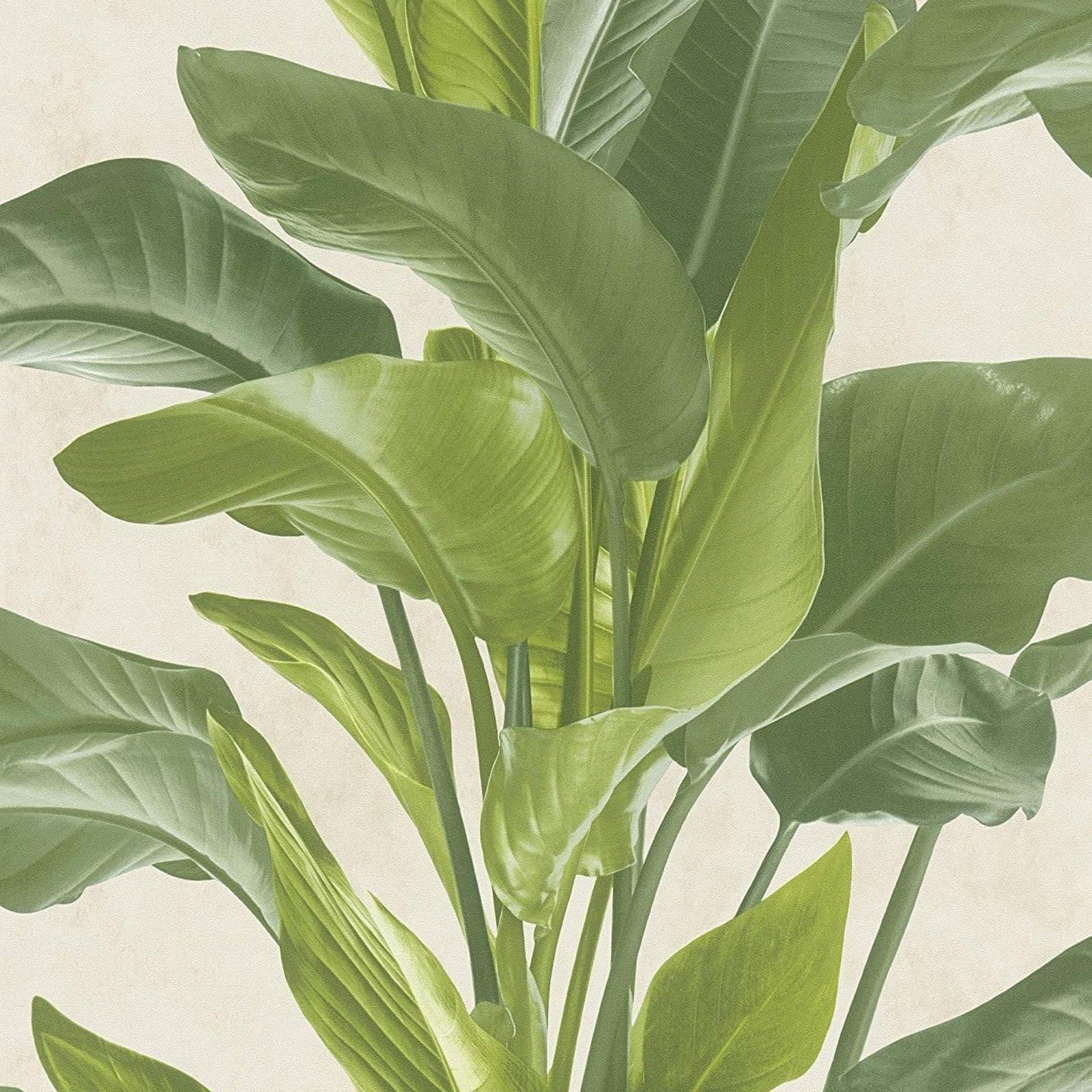 Botanical Garden Plant Leaf Leaves Trail Vinyl Cream Wallpaper