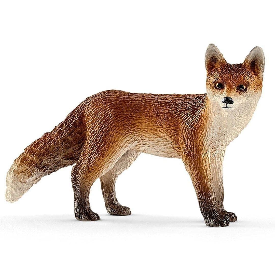 Fox