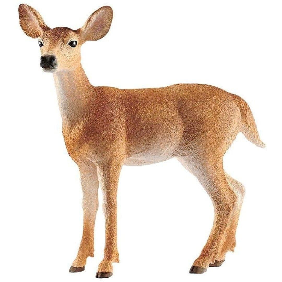 14819 Wildlife White Tailed Doe