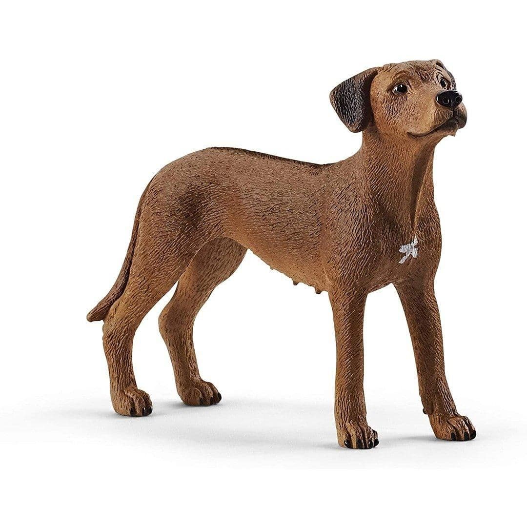 13895 Farm World Rhodesian Ridgeback