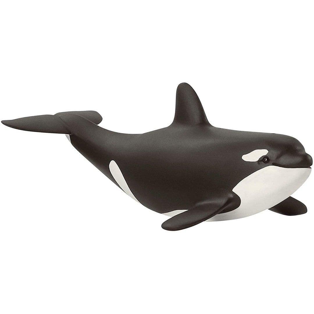 14836 Wildlife Baby Orca