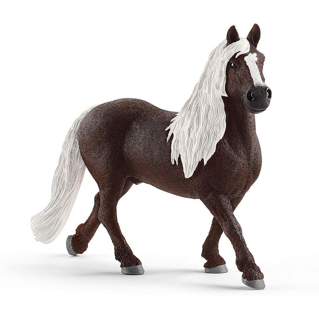 13897 Farm World Black Forest Stallion