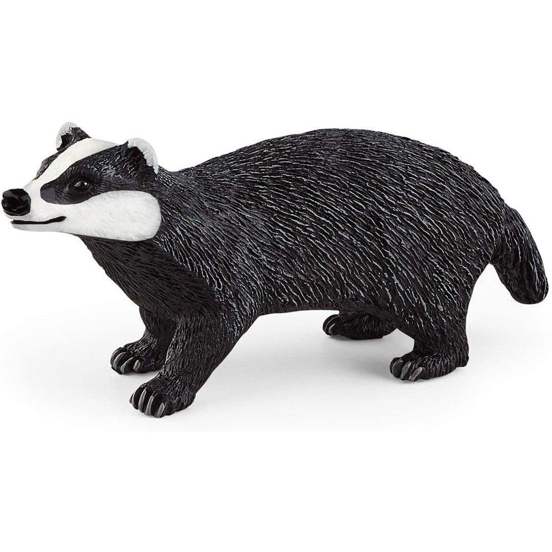 Wild Life Badger