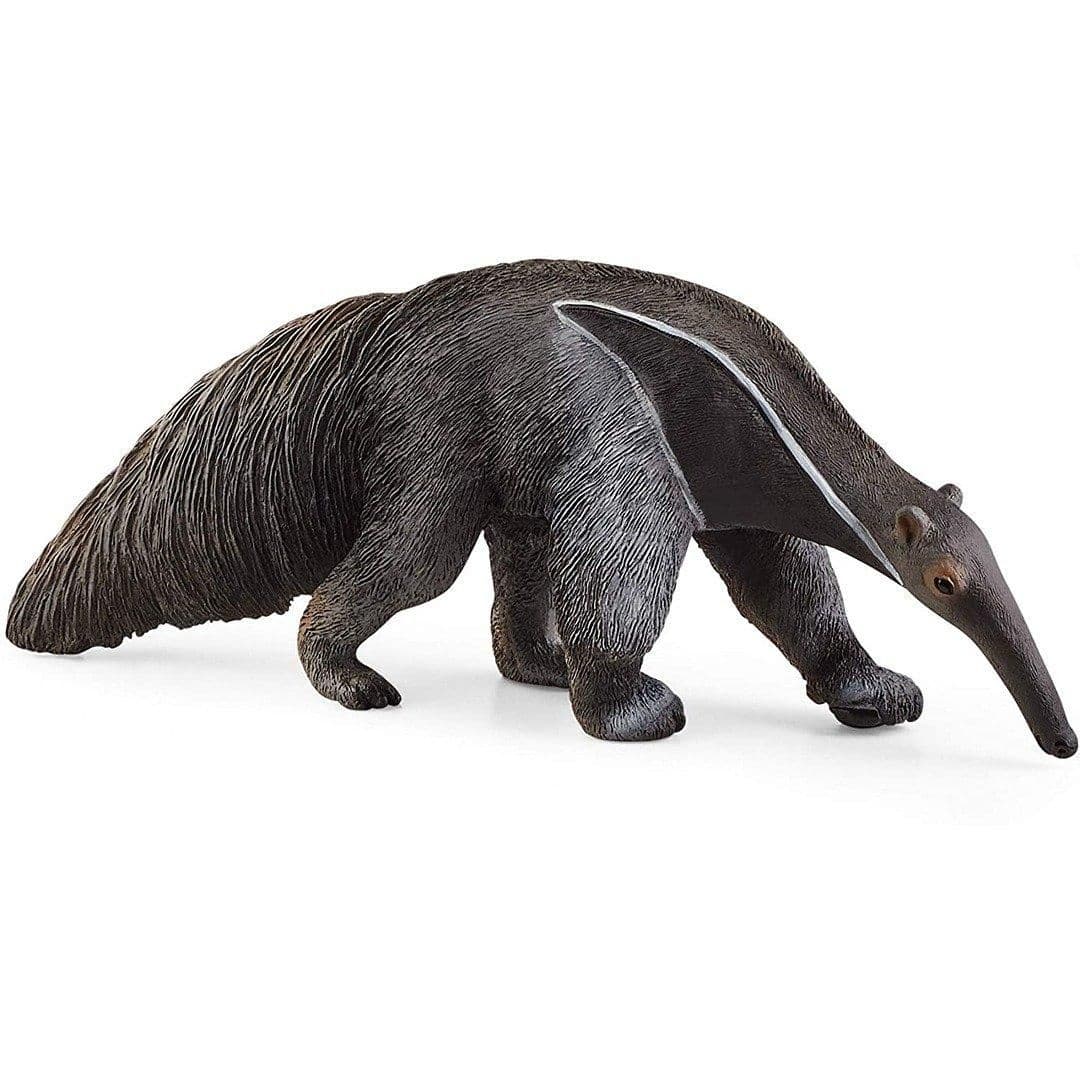 Wild Life Anteater
