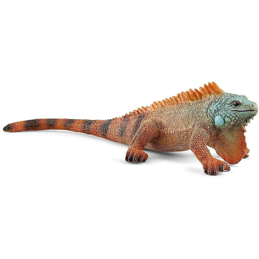 Iguana