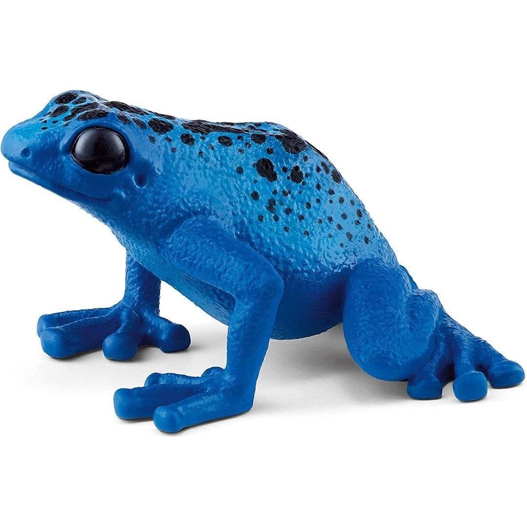 Blue Poison Dart Frog