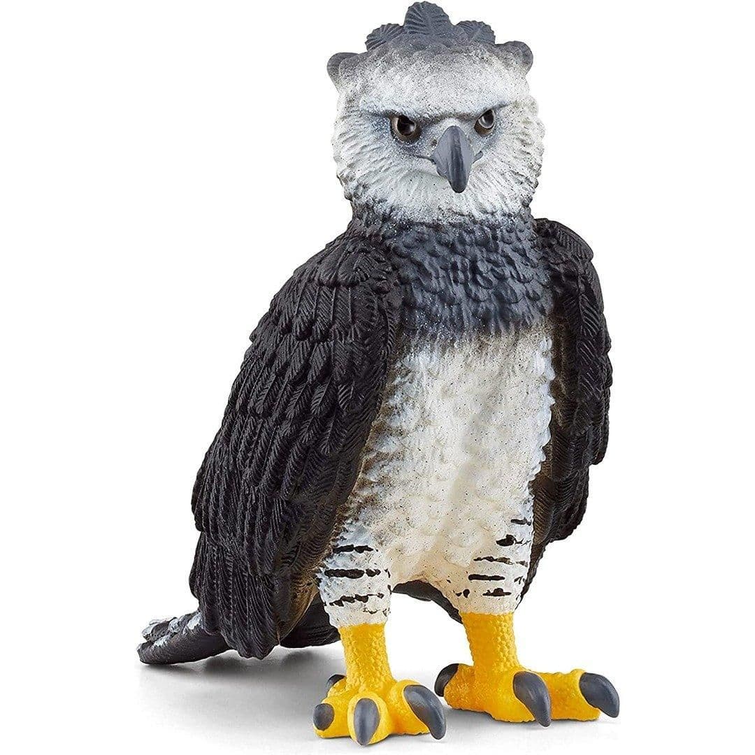 Harpy Eagle