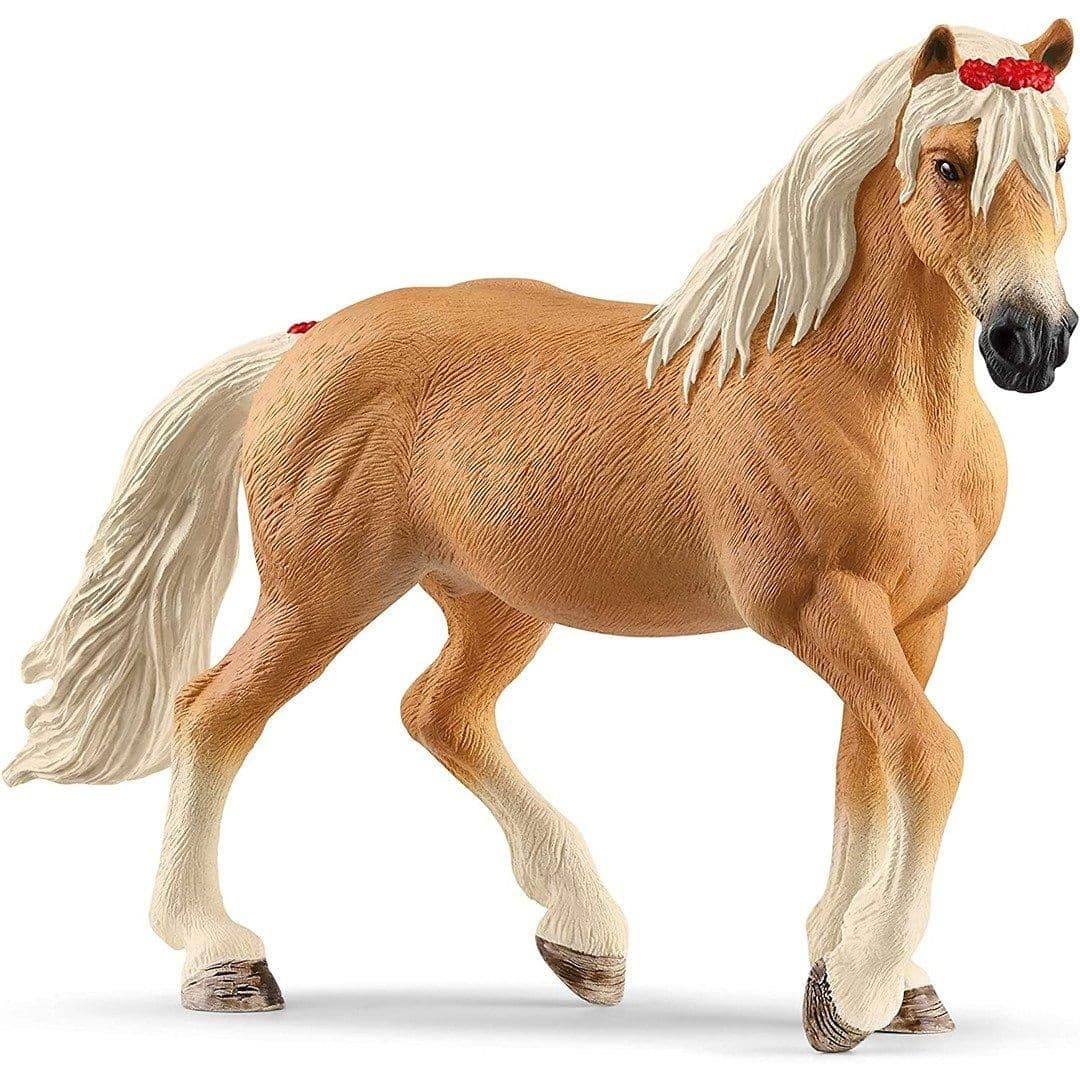 Haflinger Mare