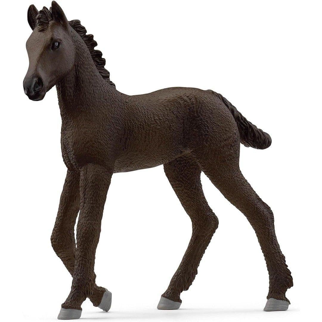 Friesian Foal