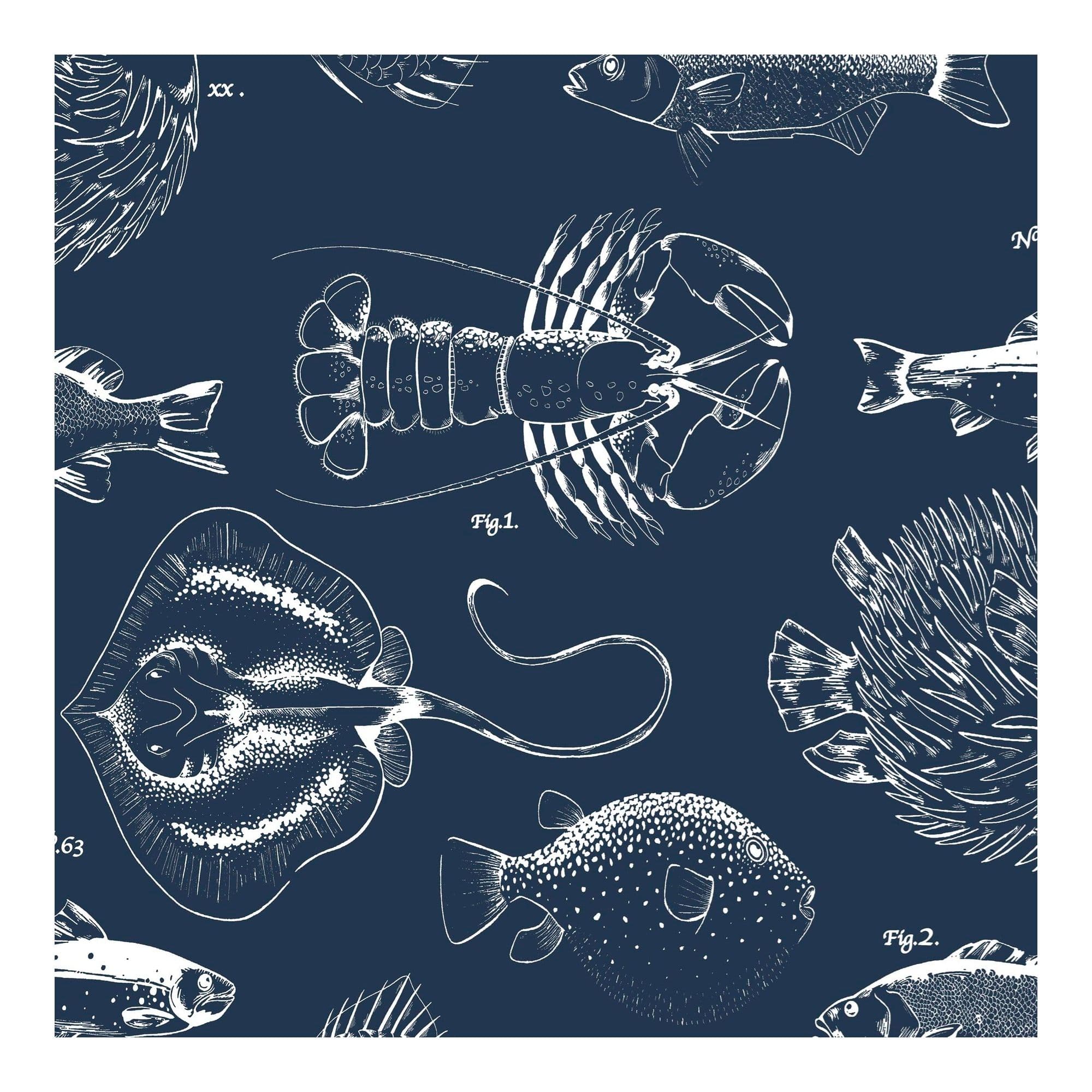Into Deep Sealife Wallpaper