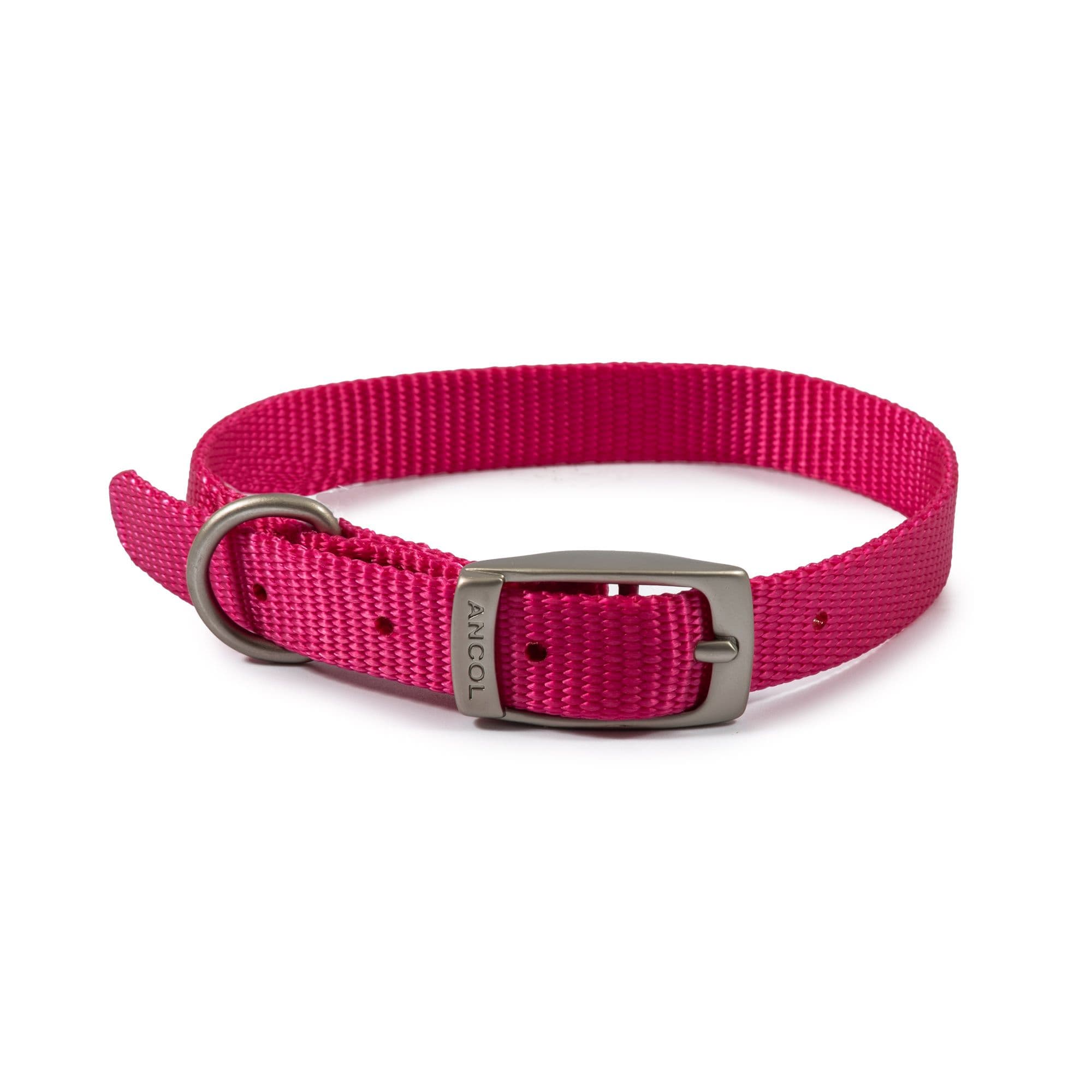 Viva Weather Proof Lightweight Comfy Buckle Dog Collar