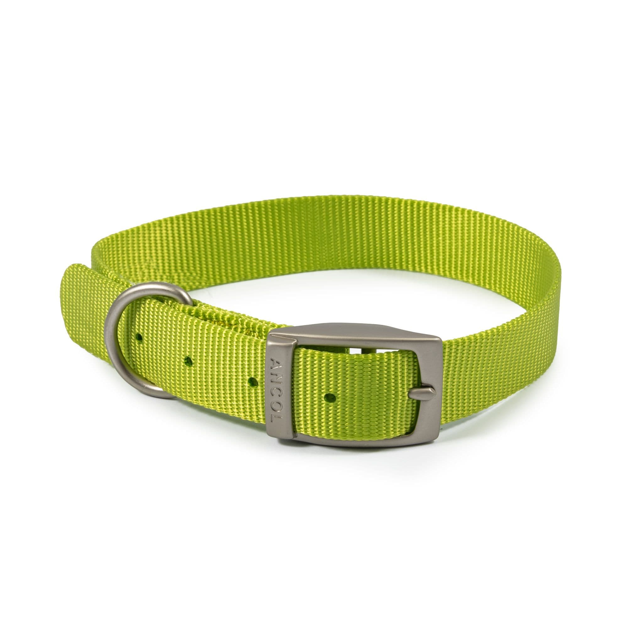 Viva Weather Proof Lightweight Comfy Buckle Dog Collar