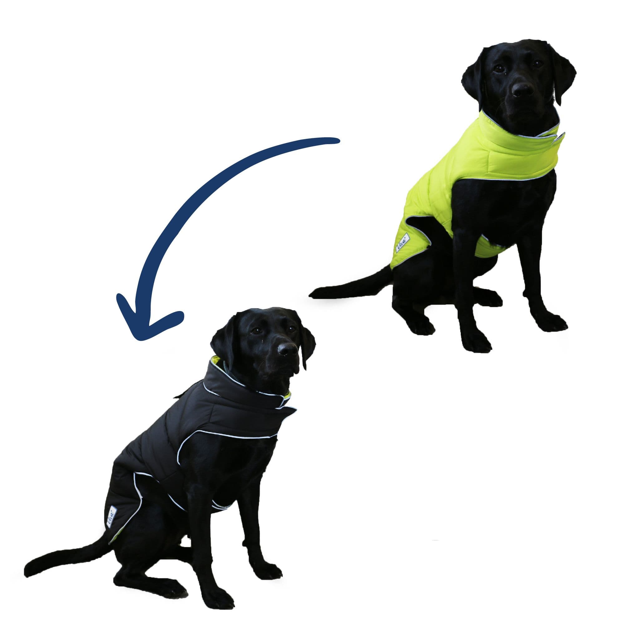 Viva Reversible Adjustable Dog Puffer Coat