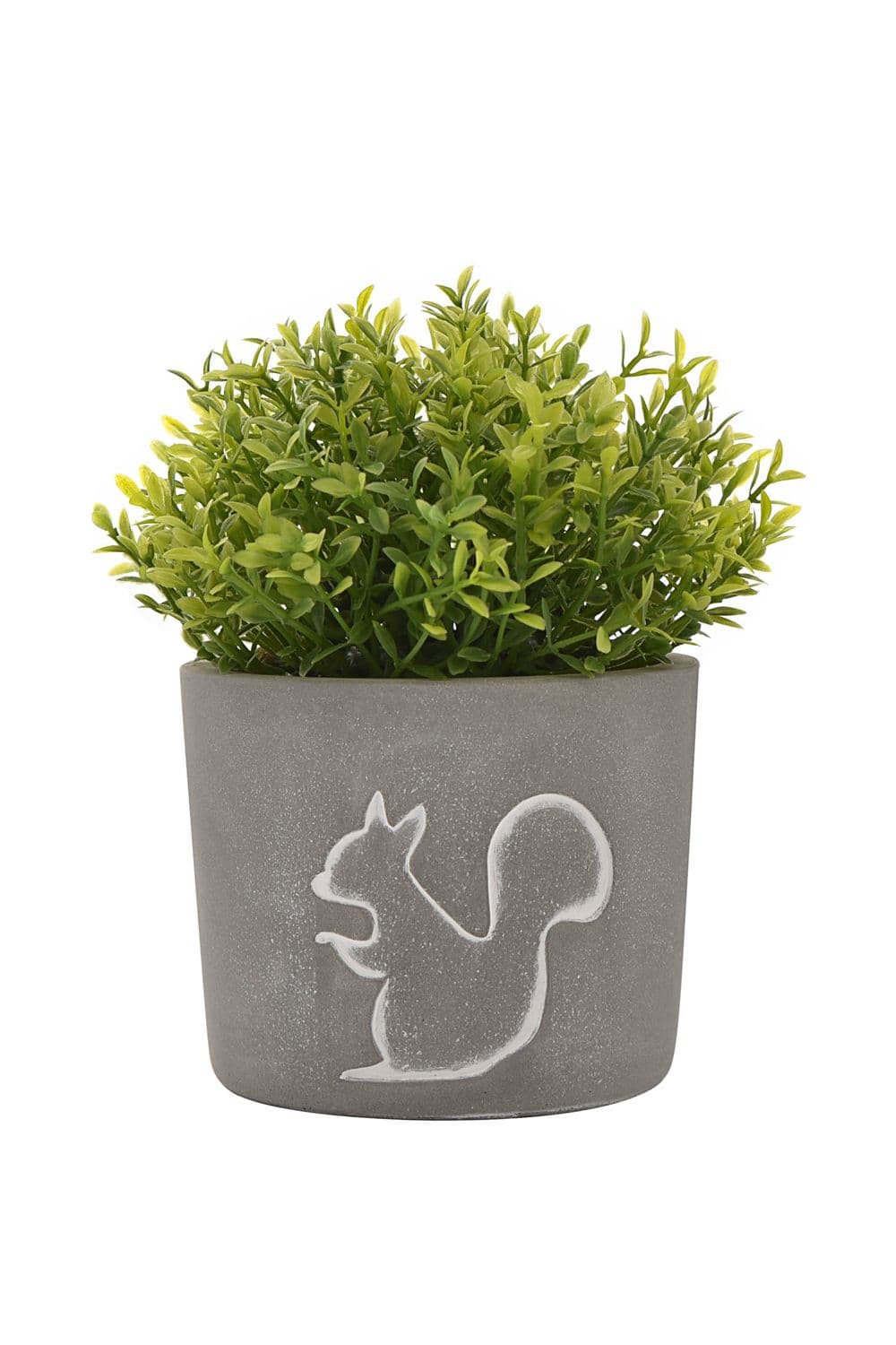 Squirrel Silhouette Planter with Plant 10cm Diameter
