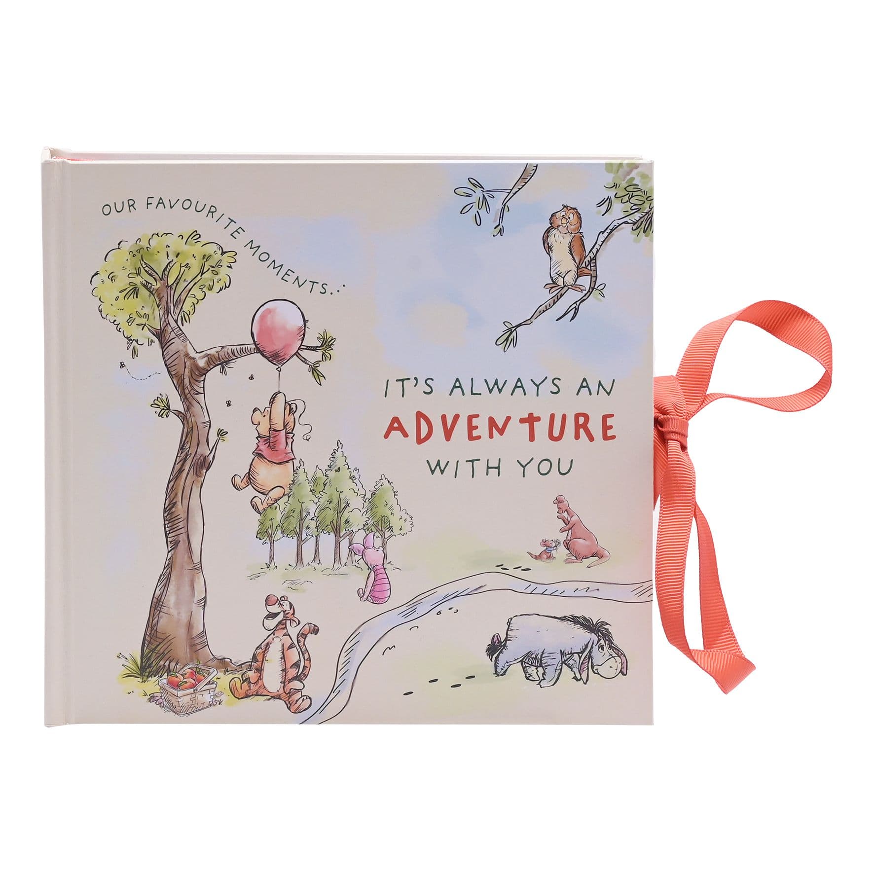 Winnie Pooh Photo Album