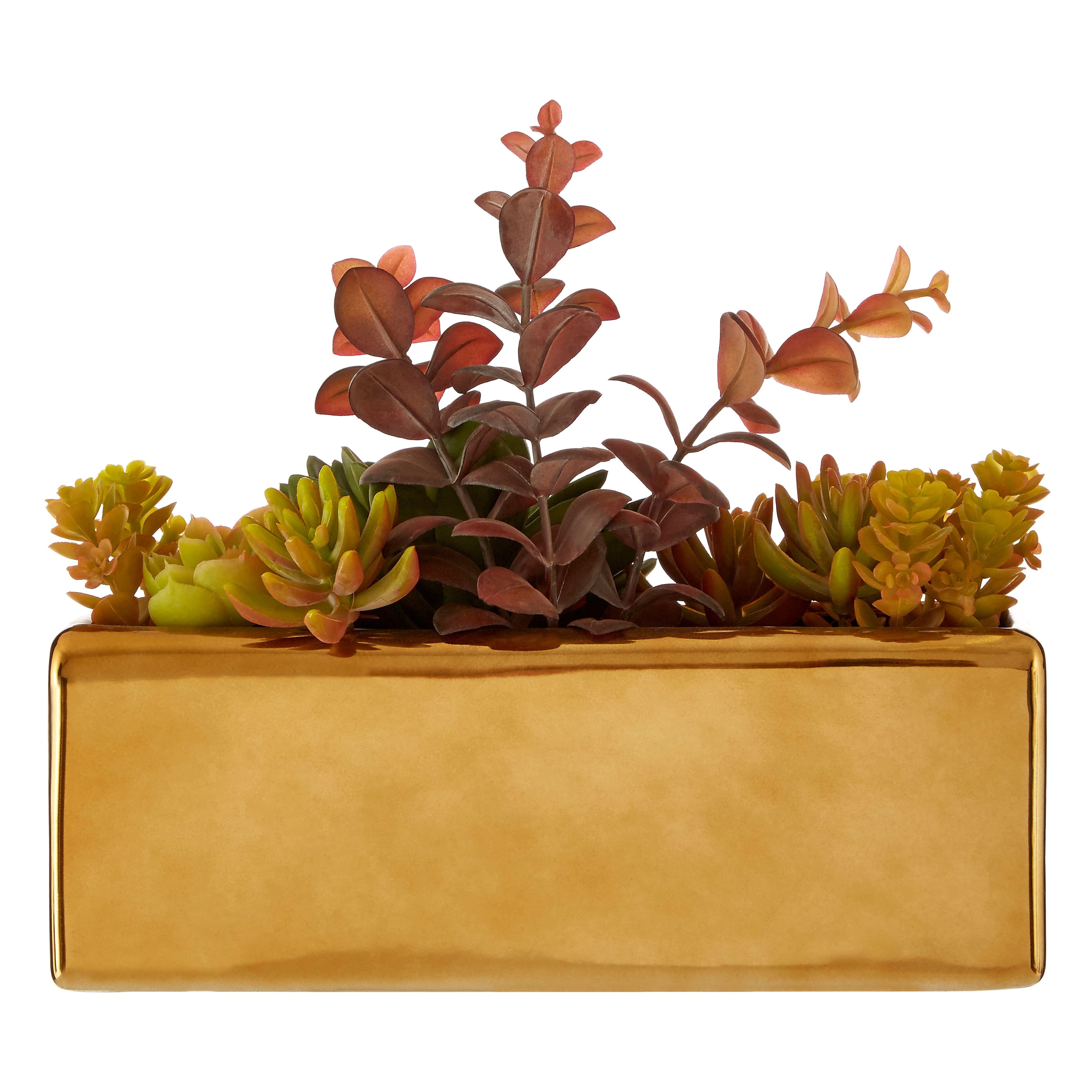 Mixed Succulents Fiori with Ceramic Gold Pot