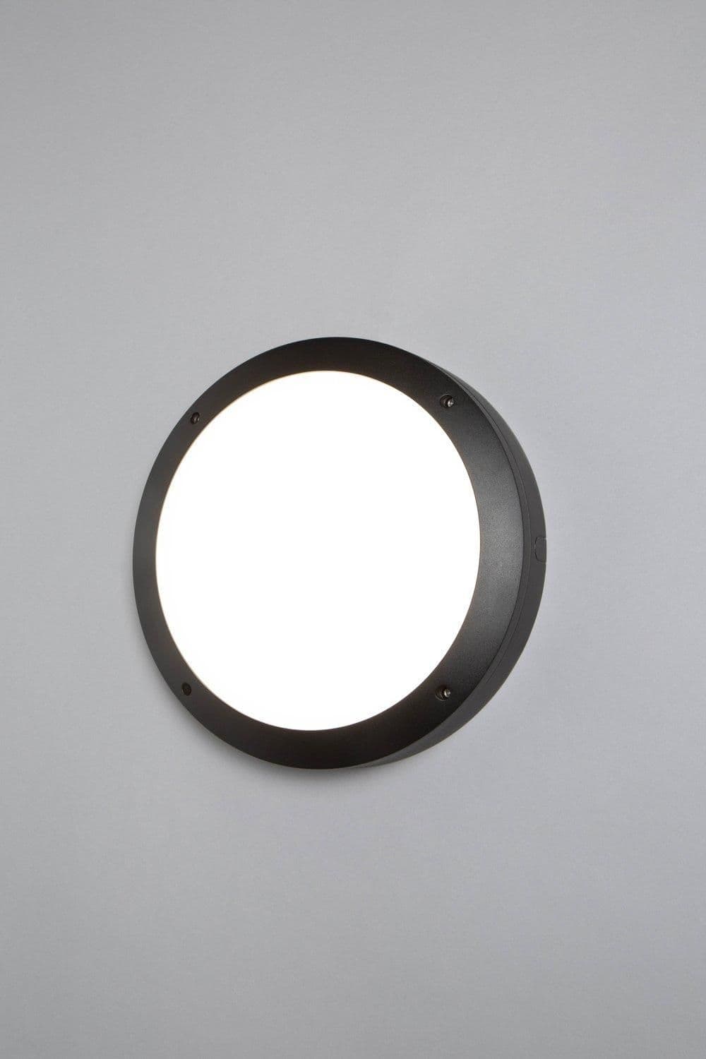 Rik Outdoor Wall Light