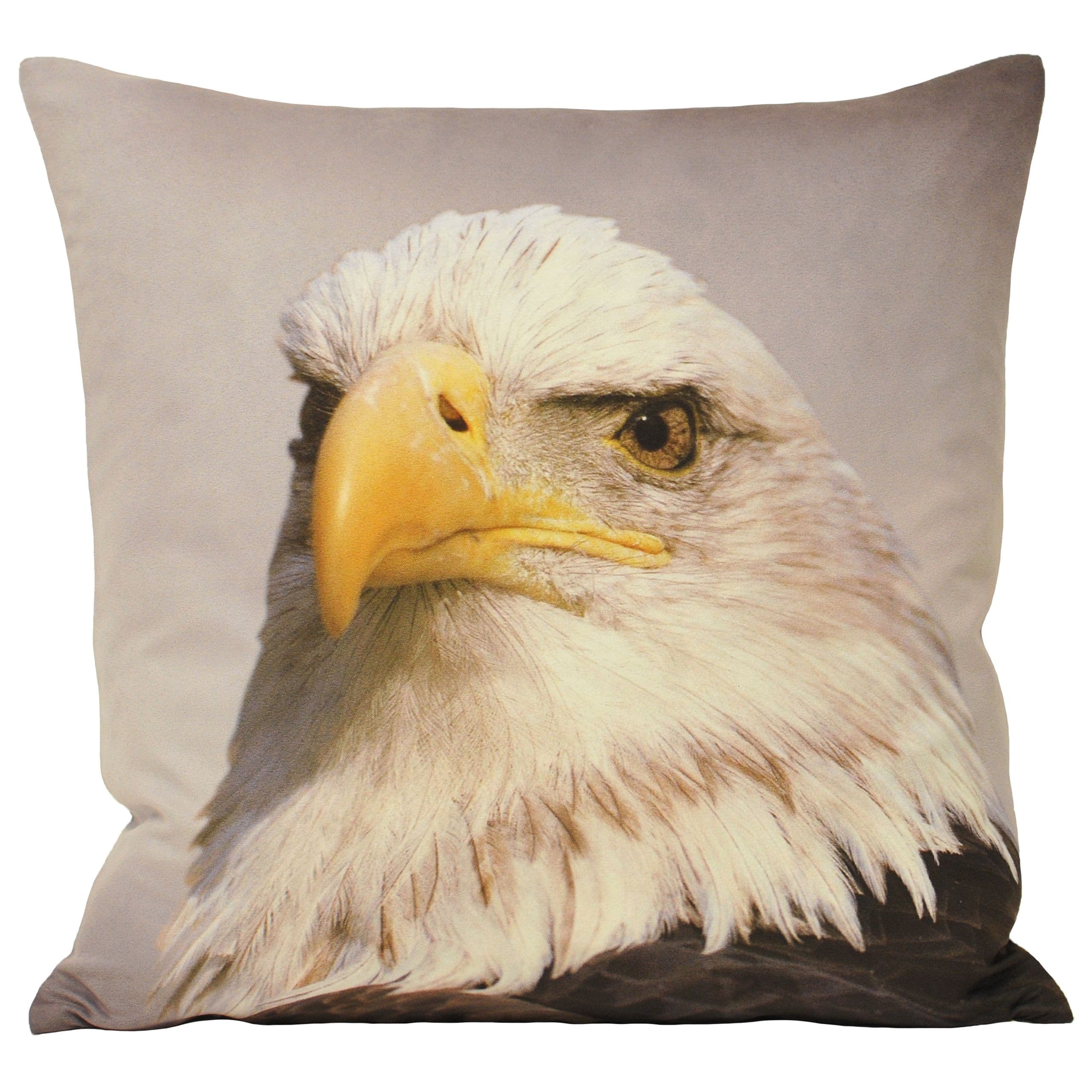 Animal Eagle Photographic Print Cushion